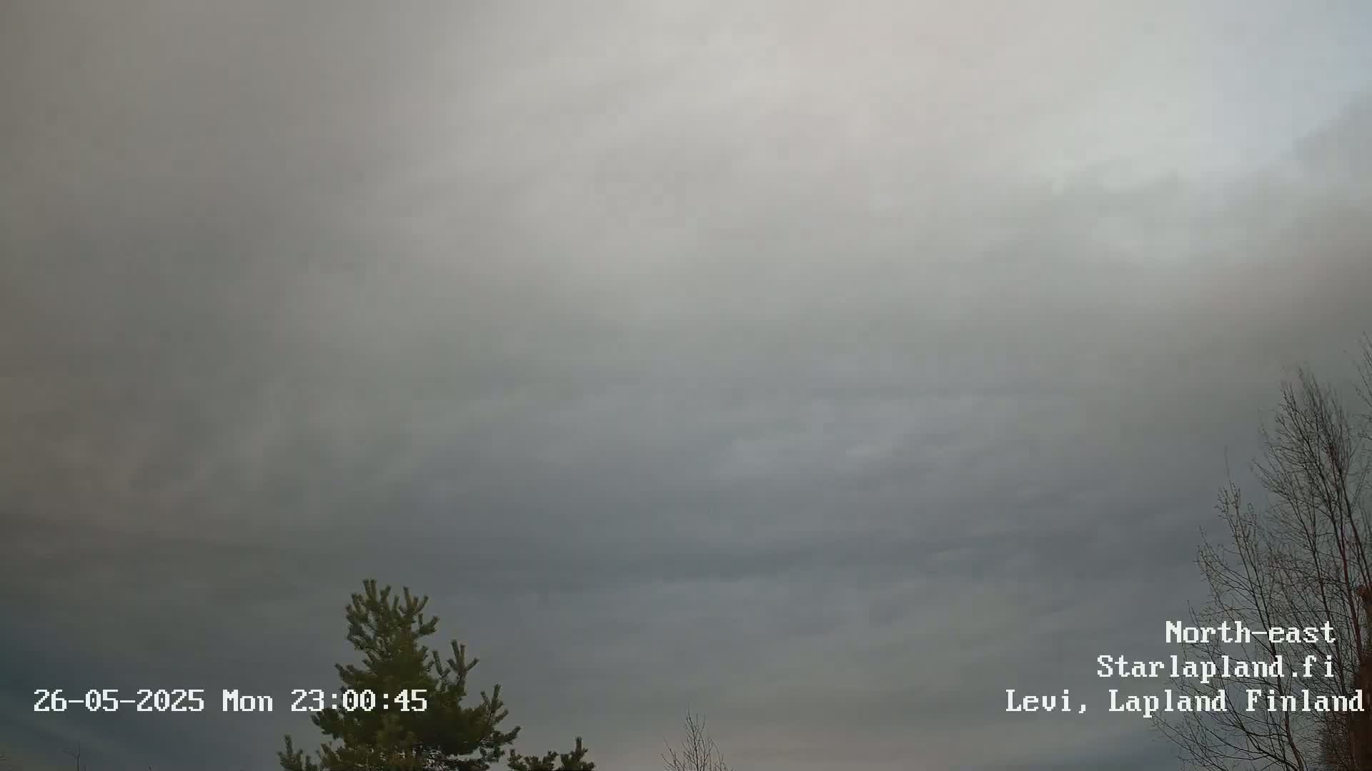 An overcast sky with a few trees visible in the bottom right and left corners.