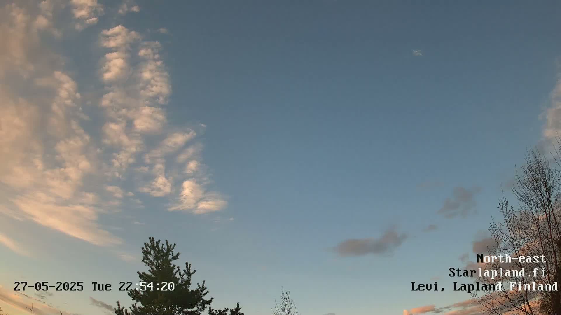 A mostly clear twilight sky with wispy clouds and the silhouettes of evergreen and deciduous trees are visible at the bottom of the frame.