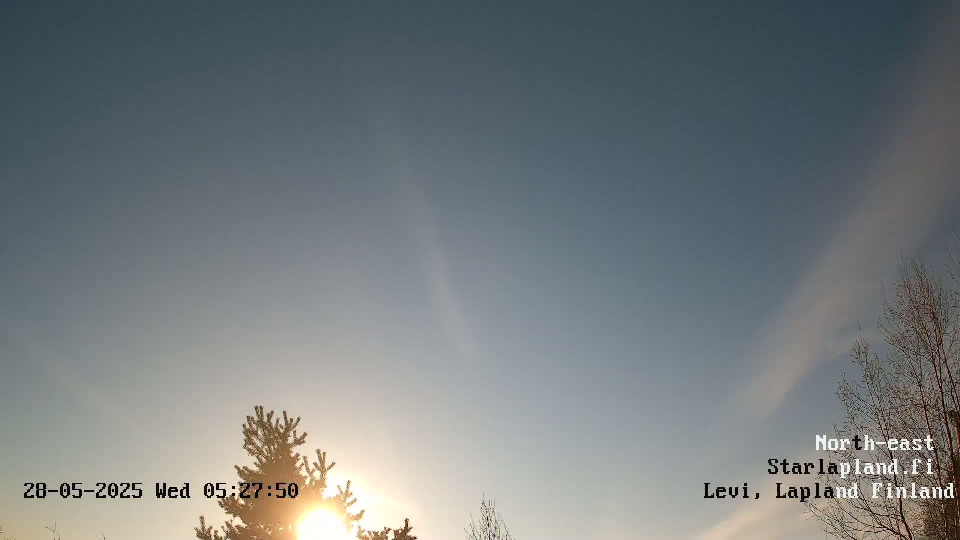 The sun is setting behind a coniferous tree in a mostly clear sky with faint clouds streaking across the horizon.