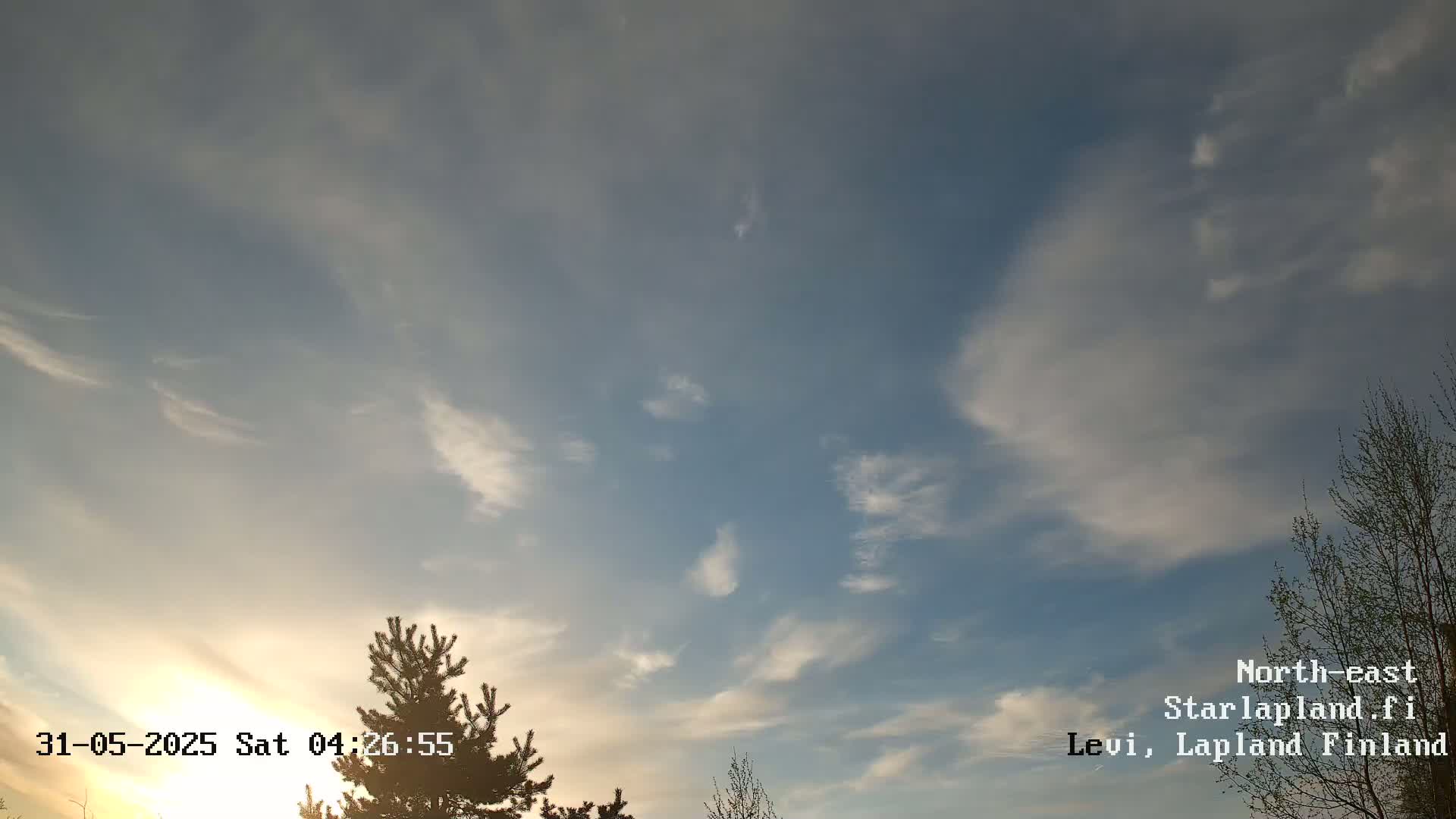 A mostly clear sky with thin, wispy clouds at sunrise, partially obscured by the silhouettes of evergreen and deciduous trees.