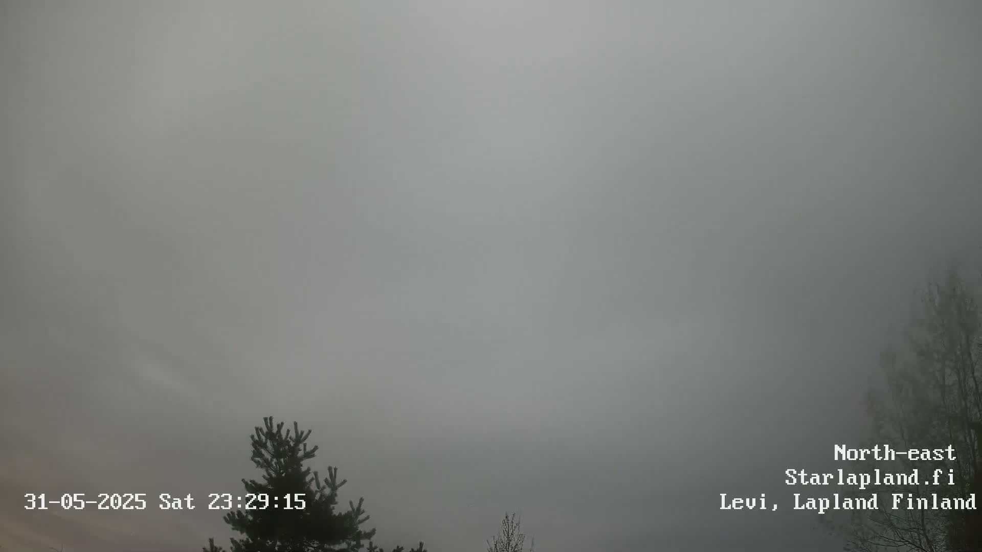 A thick fog obscures the view of a mostly gray sky, with the tops of some evergreen trees visible at the bottom.