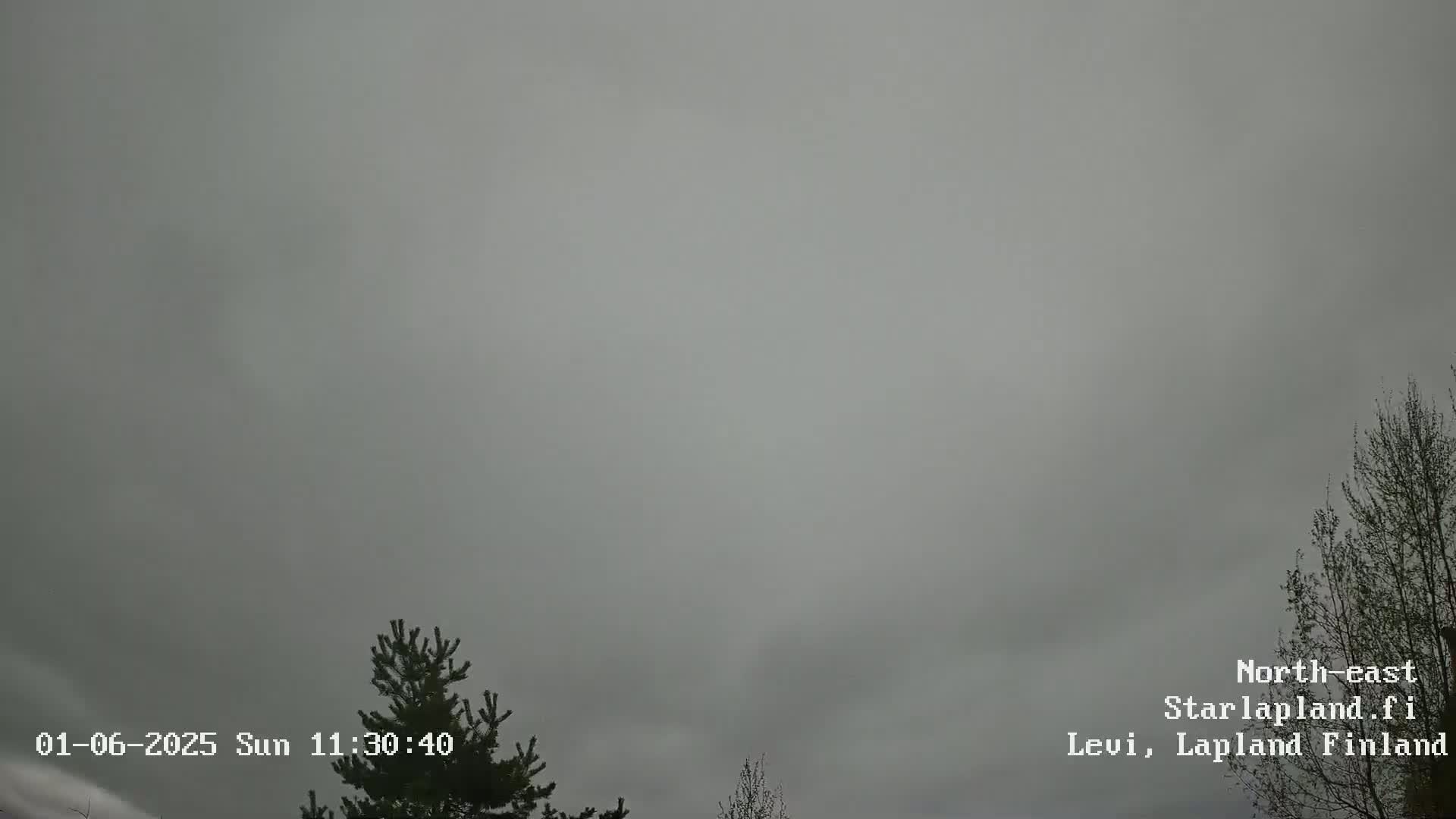 An overcast sky is visible above a couple of trees.