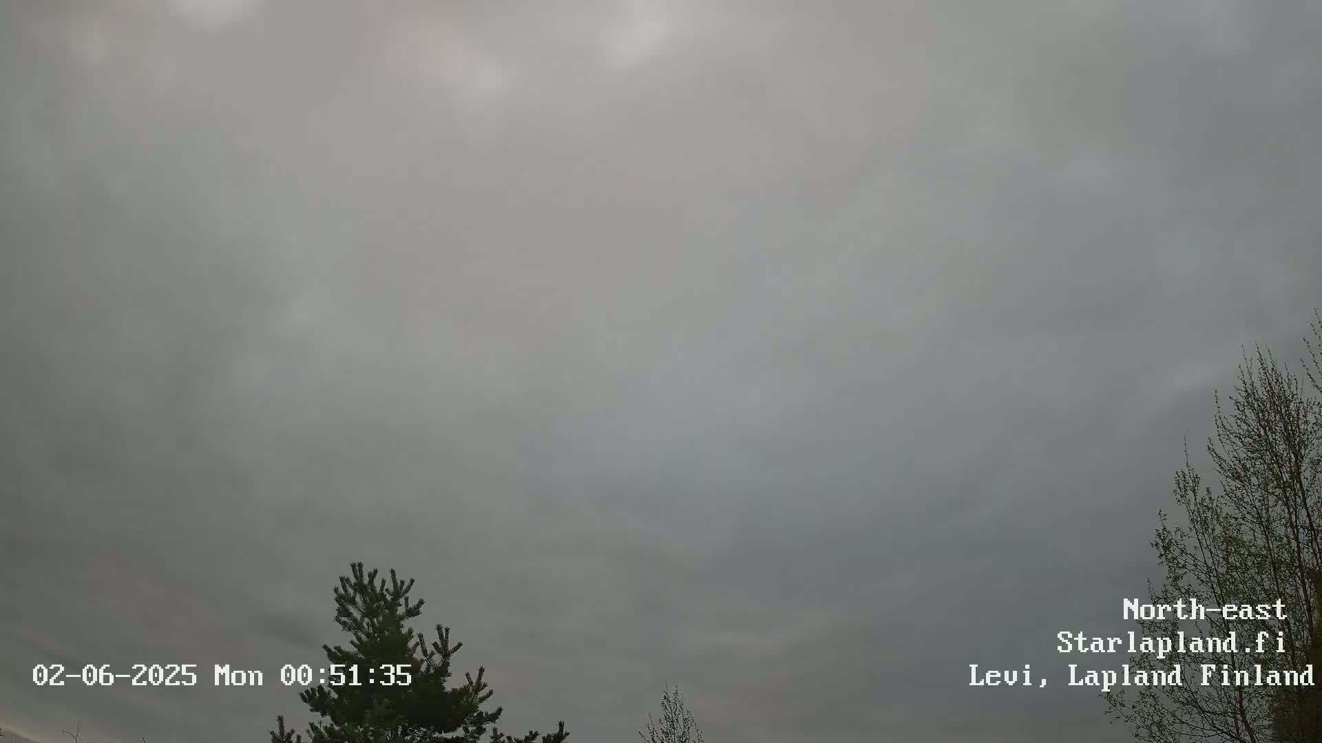 A mostly overcast sky with a few hints of lighter gray, partially obscured by the silhouettes of coniferous and deciduous trees.
