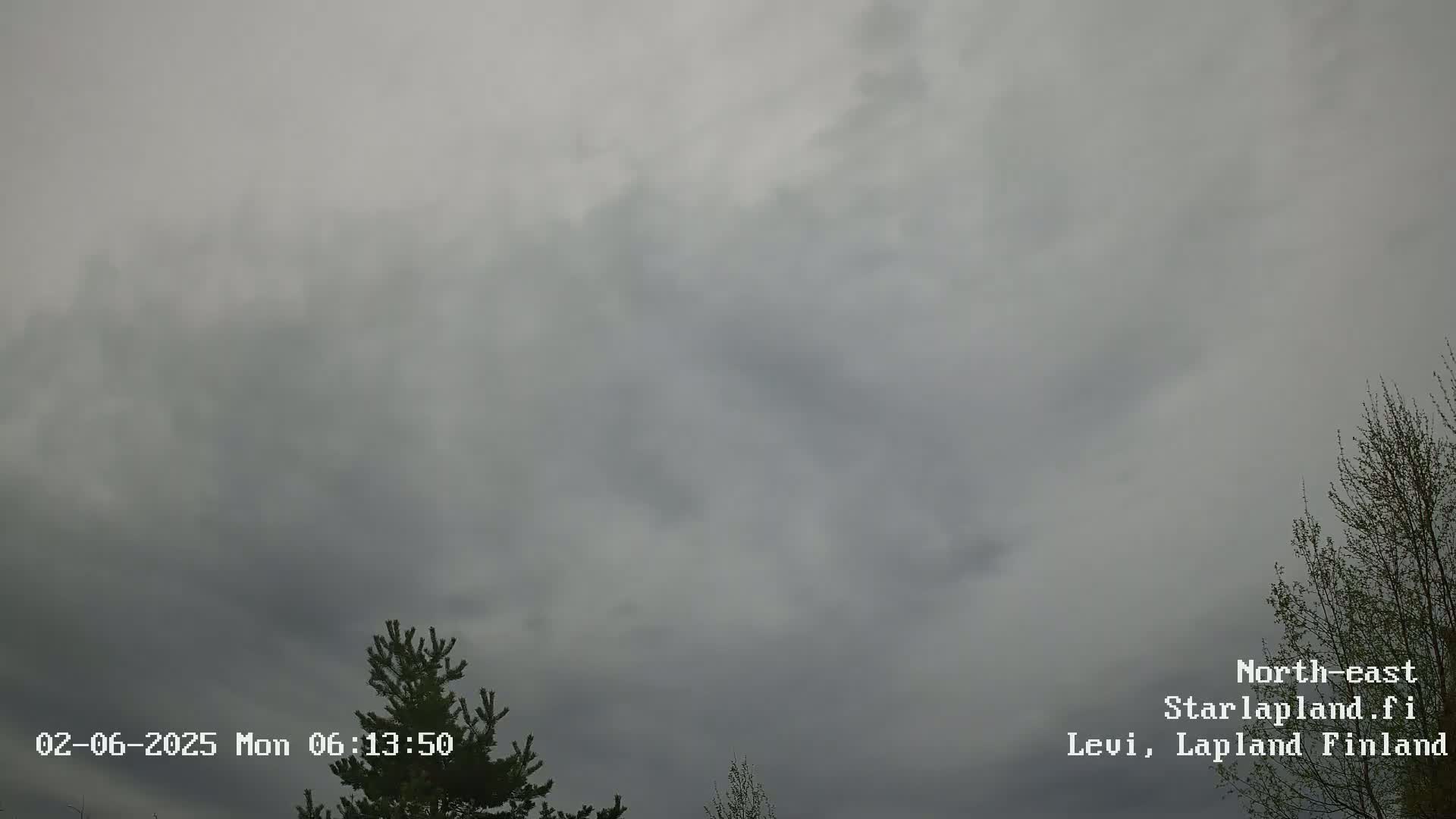 A mostly cloudy, overcast sky is visible above a few budding deciduous trees and a coniferous tree.