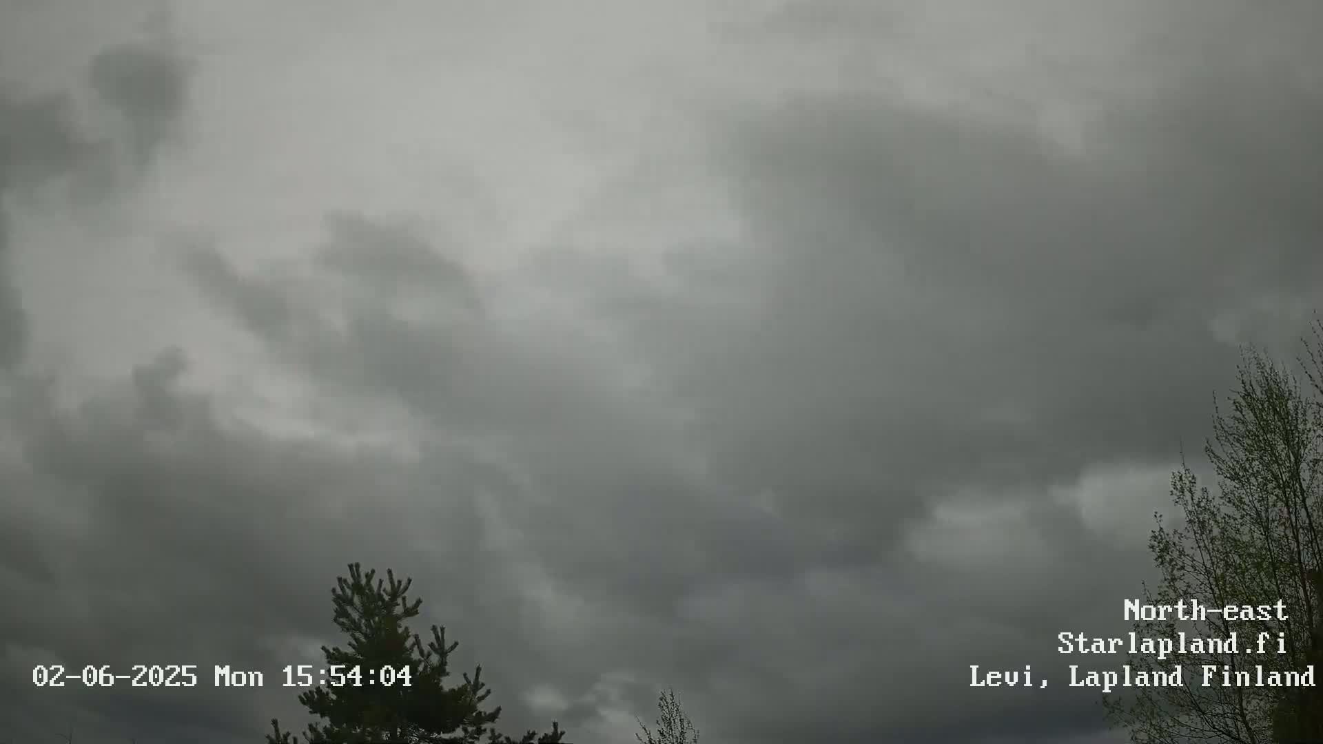 Overcast gray skies with a few dark clouds hang above some evergreens.