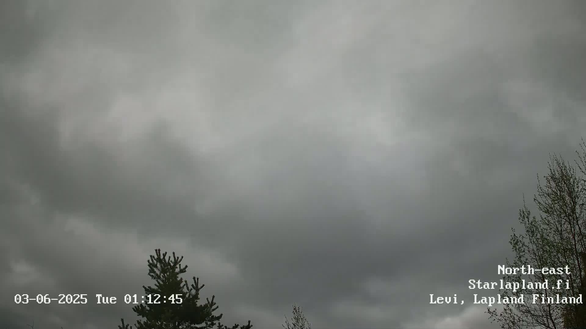 An overcast sky with dark gray clouds is visible above some treetops.
