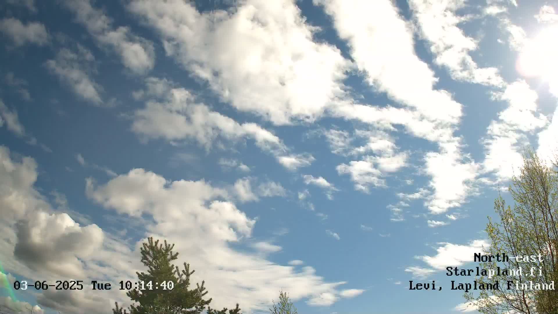 A partly cloudy blue sky is visible above some treetops.