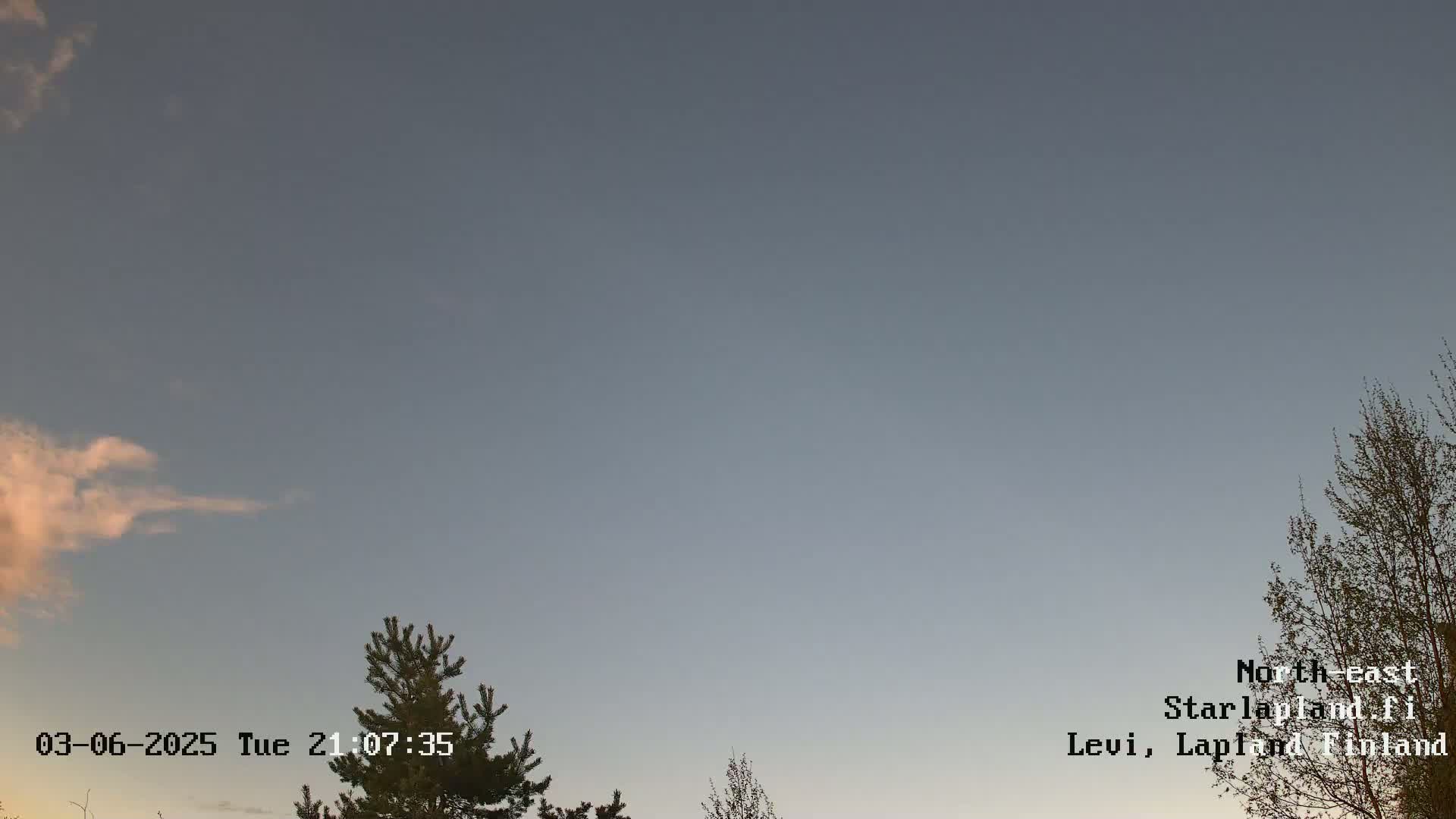 Under a mostly clear, dusky sky, a few wispy clouds are visible above a partially visible evergreen tree and deciduous tree.