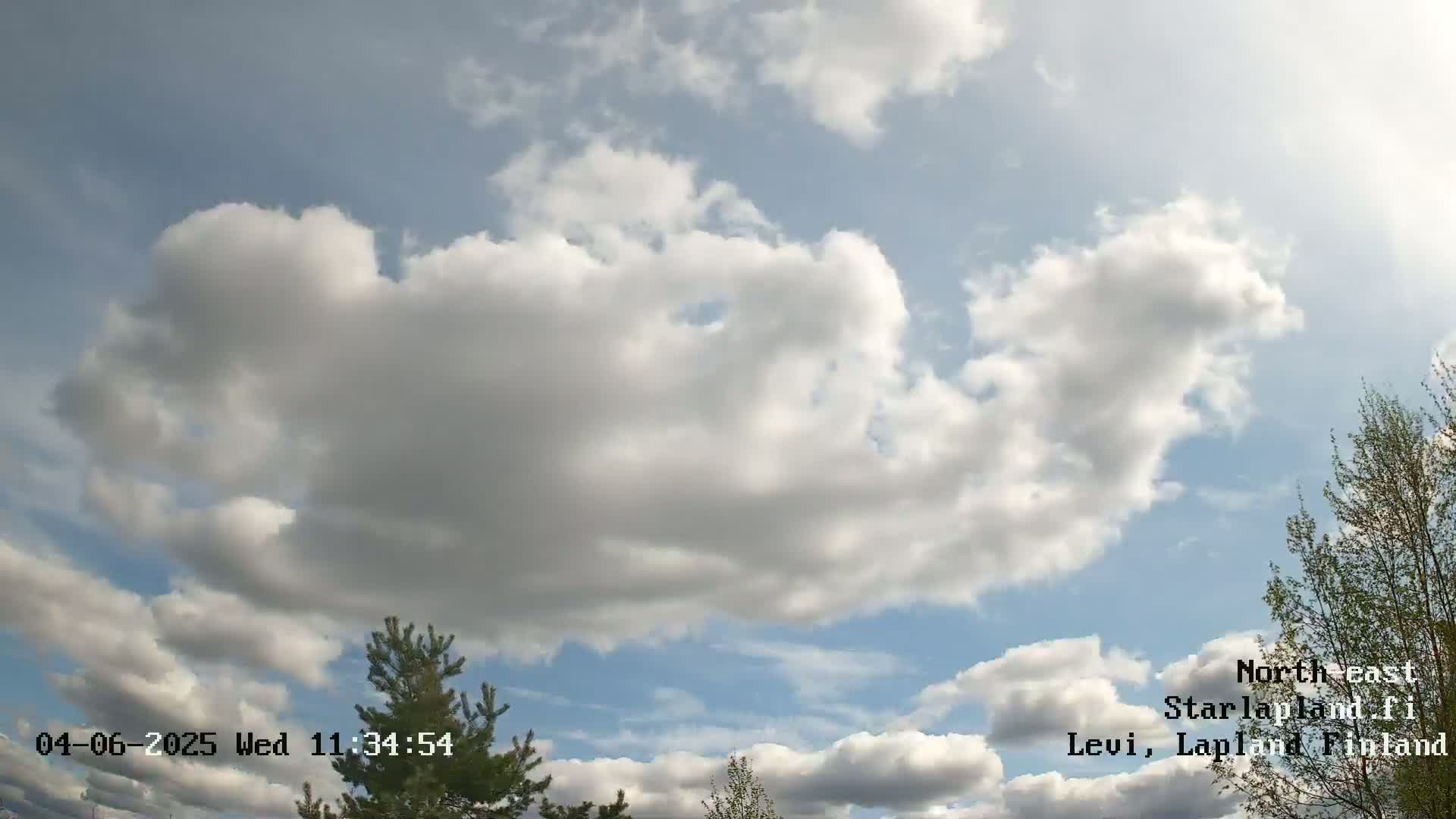 A partly cloudy sky with fluffy cumulus clouds and hints of blue, viewed from a ground-level perspective near some trees.