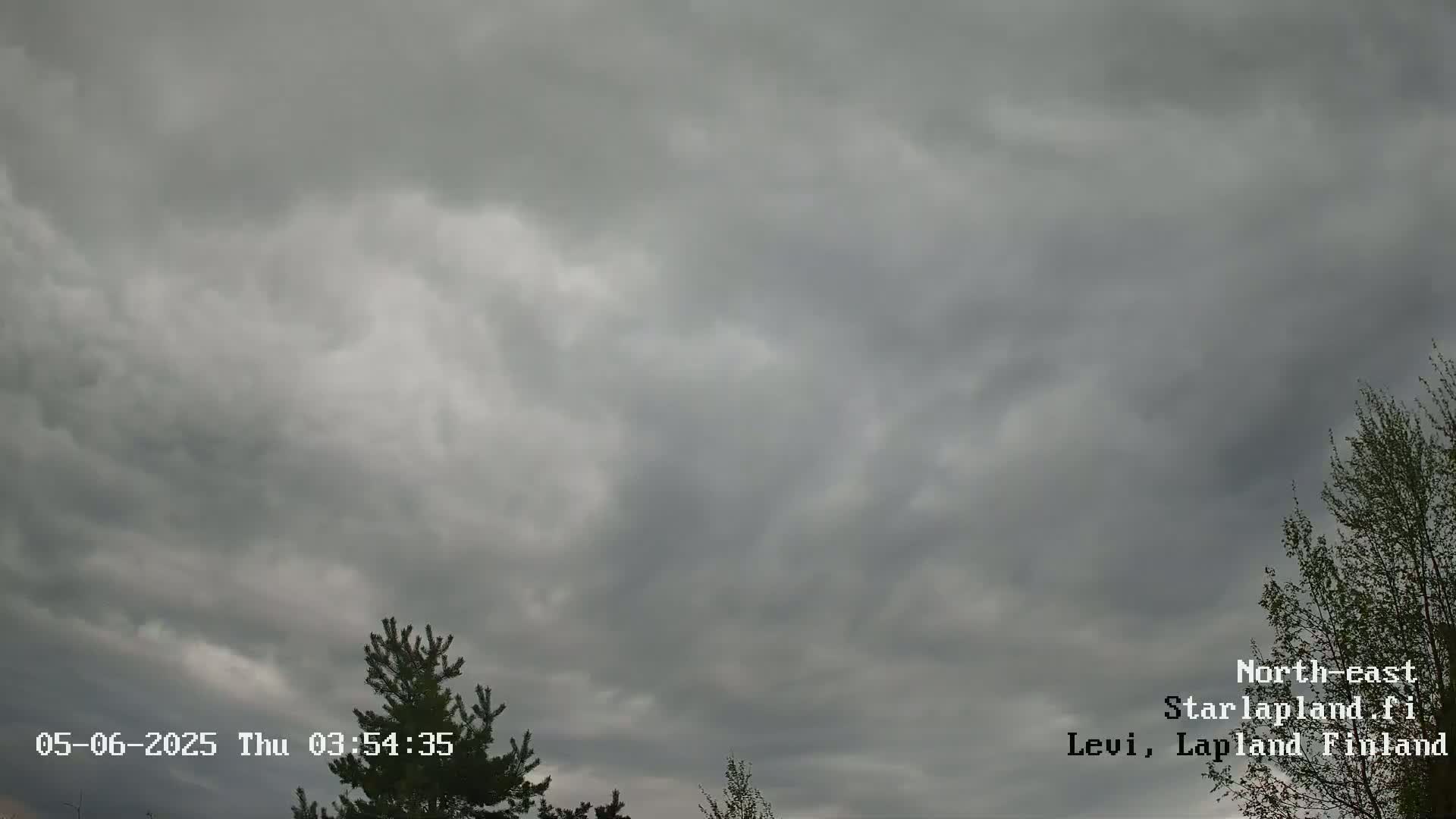 Overcast skies with dark gray clouds are visible above the tops of two evergreen trees.
