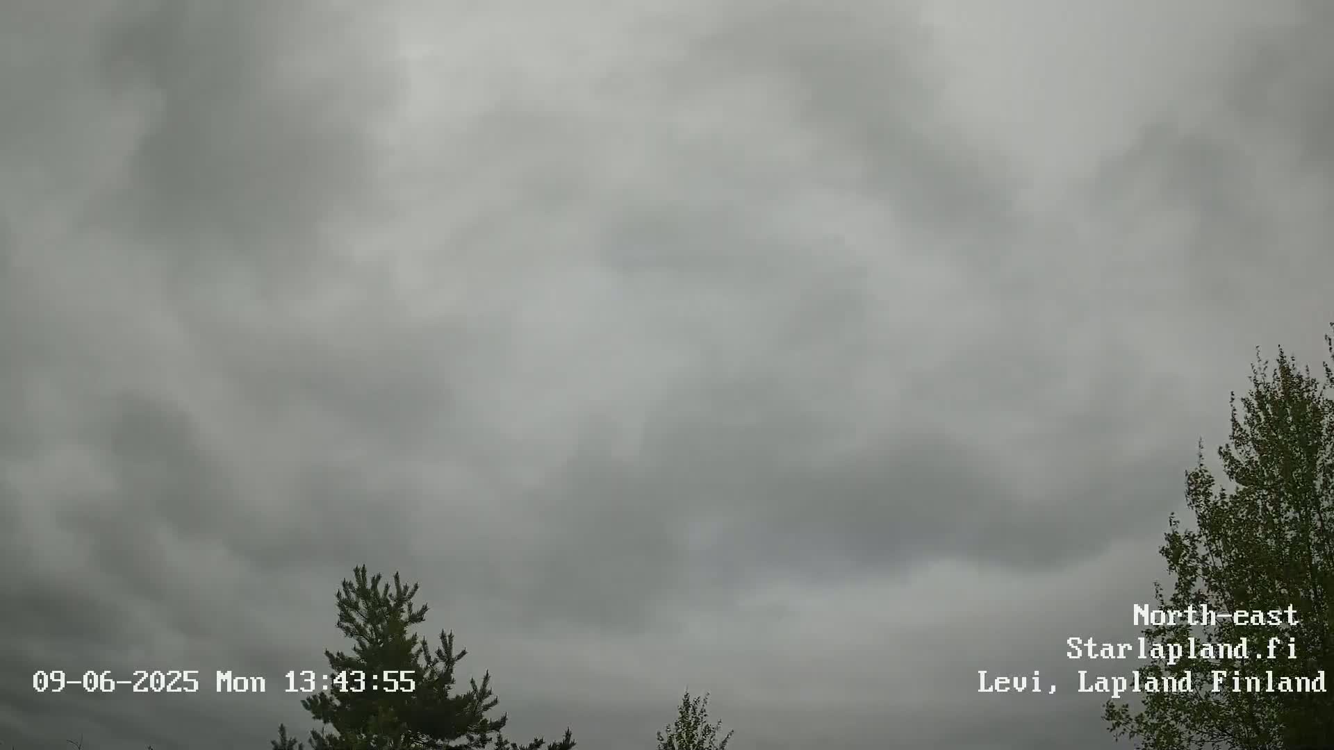 An overcast sky is visible above a few sparsely-leafed trees.