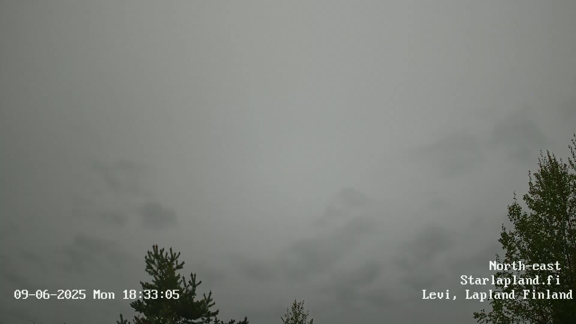 A mostly overcast, gray sky is visible above some coniferous and deciduous trees.
