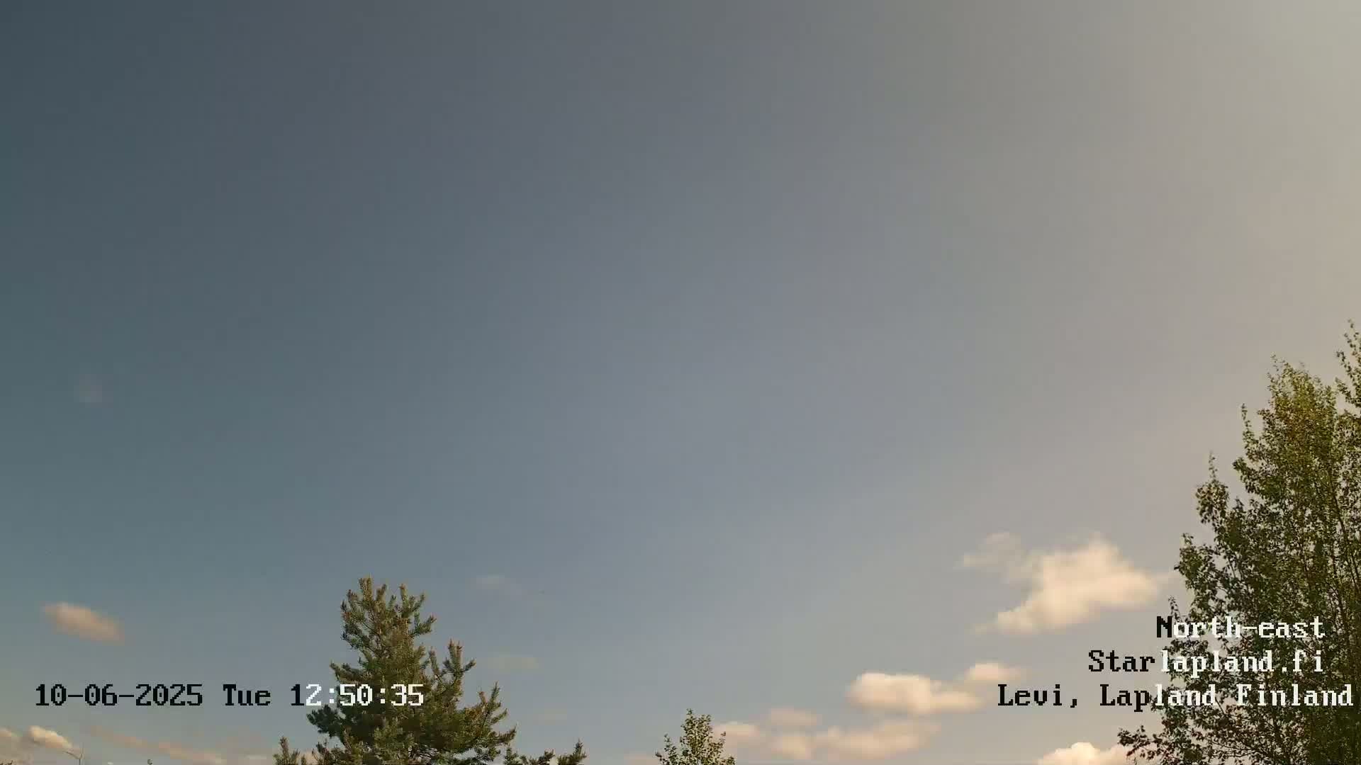 A mostly clear sky with a few small clouds is visible above some treetops.