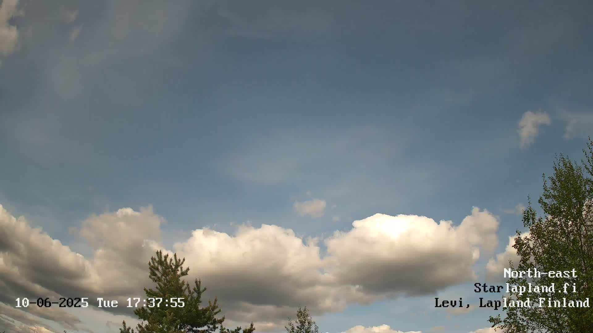 A partly cloudy sky with fluffy white cumulus clouds against a light blue background, partially obscured by a few trees.