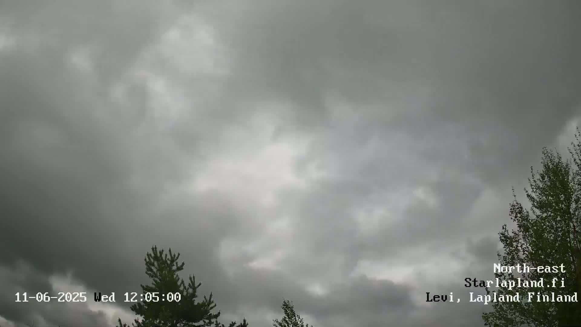 Overcast skies and a few treetops are visible under a predominantly gray sky.