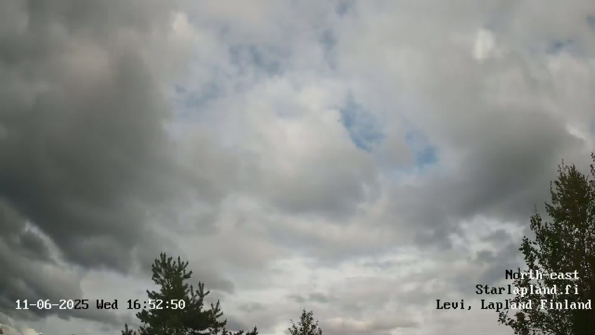 A mostly cloudy sky with some blue patches visible, partly obscuring the tops of coniferous trees.