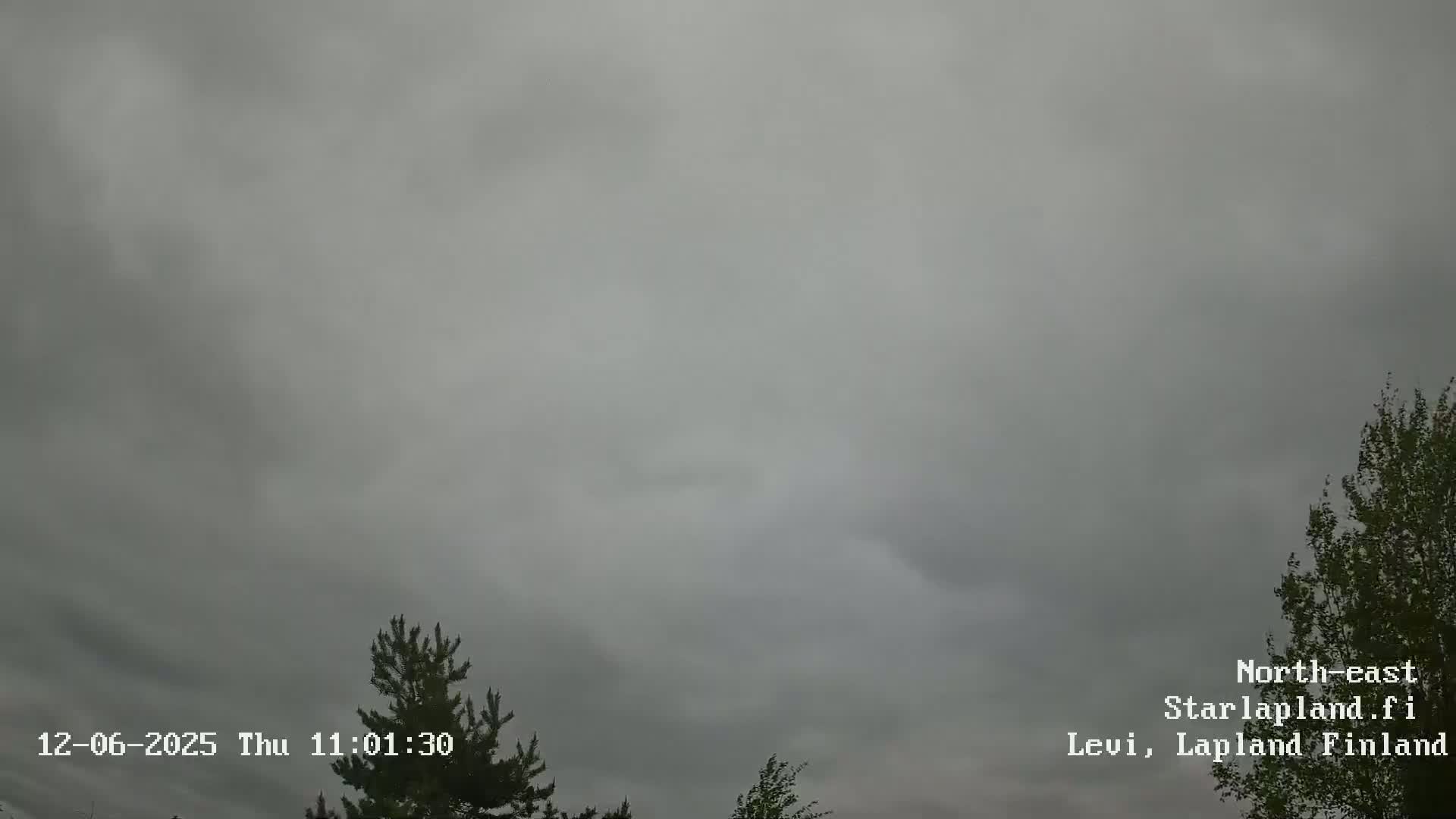 An overcast sky with some treetops visible in the bottom corners.