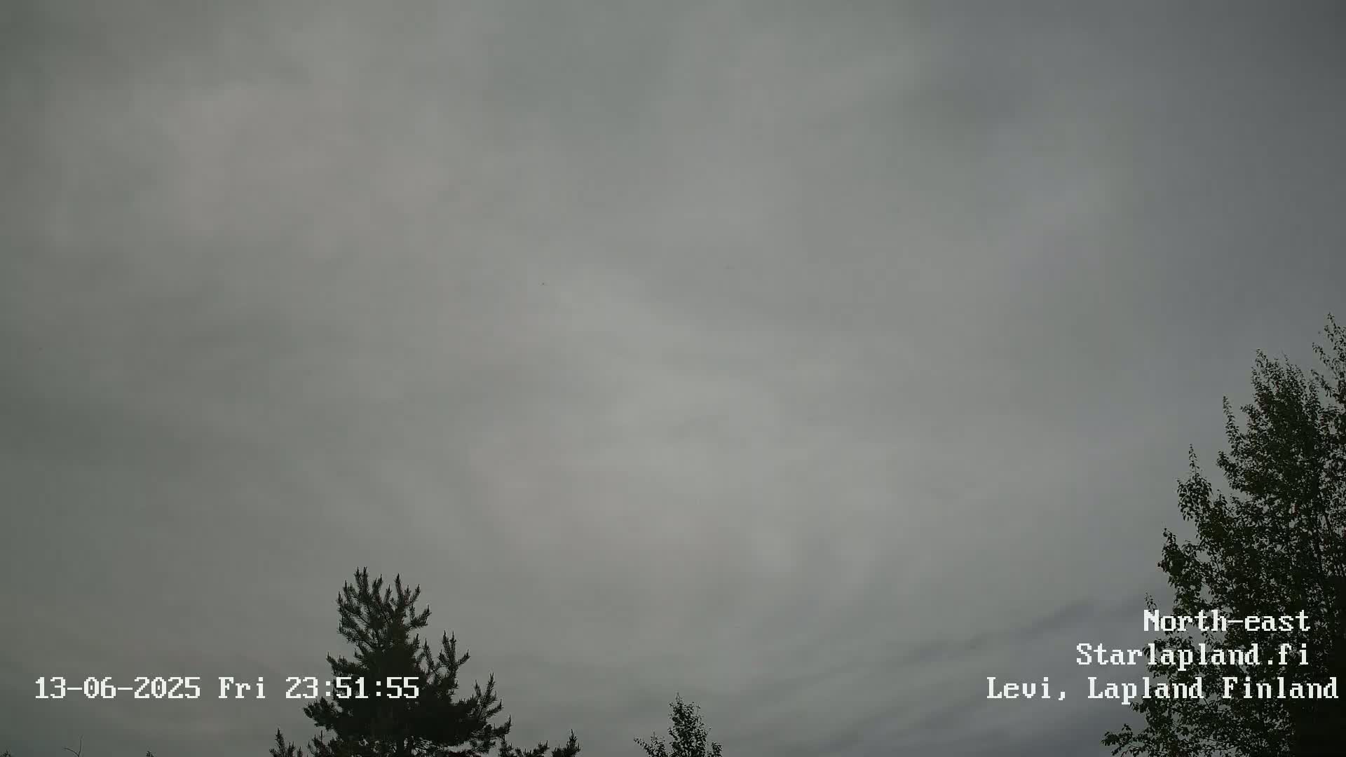 An overcast sky is visible above the silhouettes of evergreen trees.