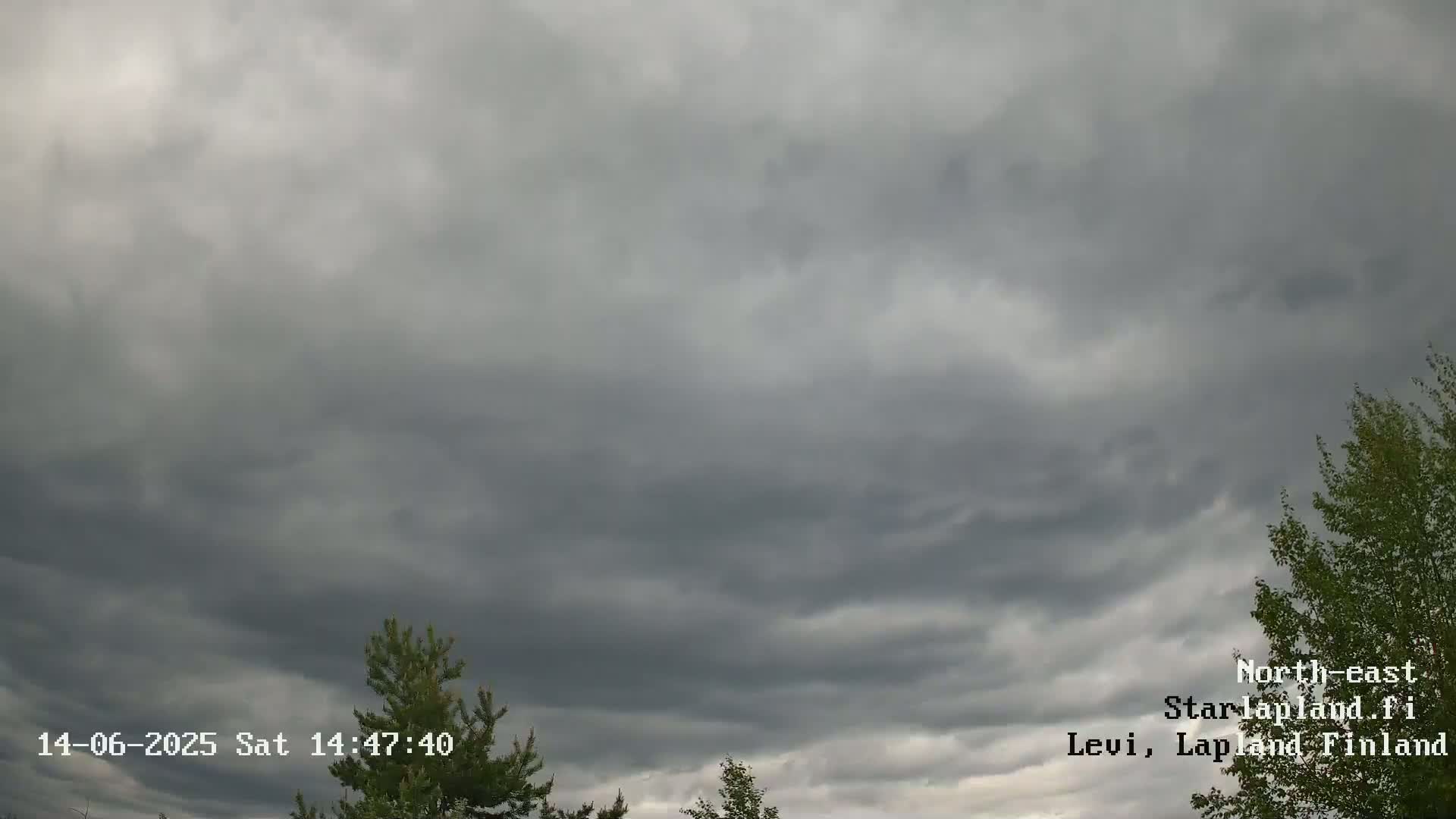 An overcast sky with dark gray clouds hangs above some evergreen and deciduous trees.