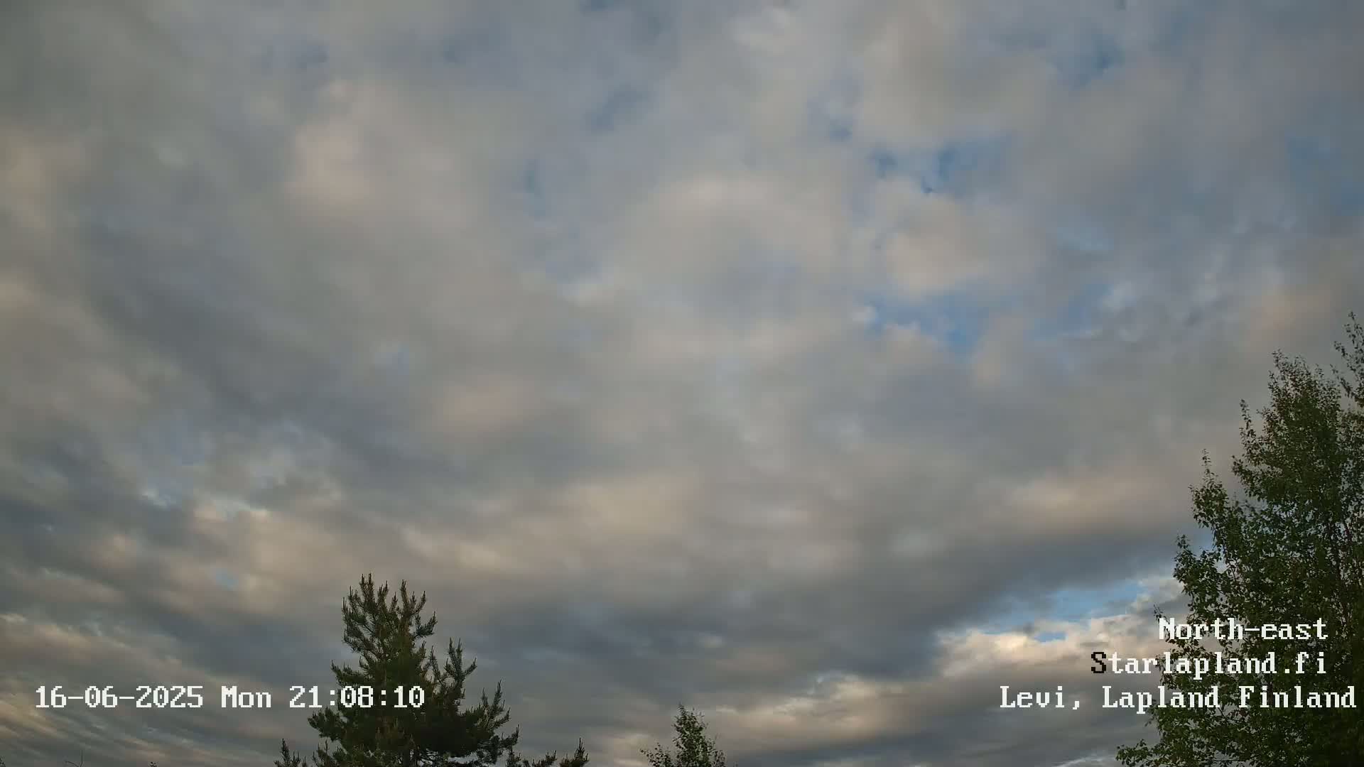 A mostly cloudy sky with some blue patches showing through, partially obscured by evergreen trees in the foreground.