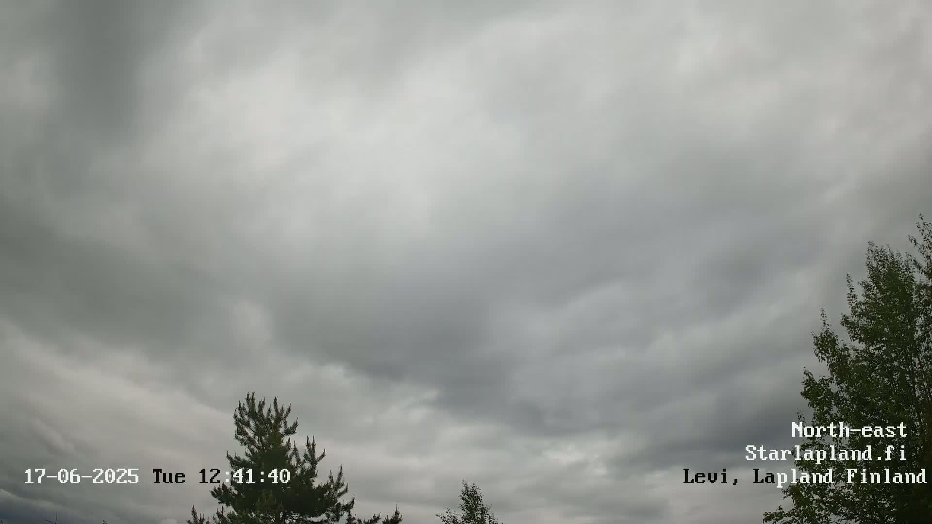 An overcast sky hangs over a landscape of dark green trees.