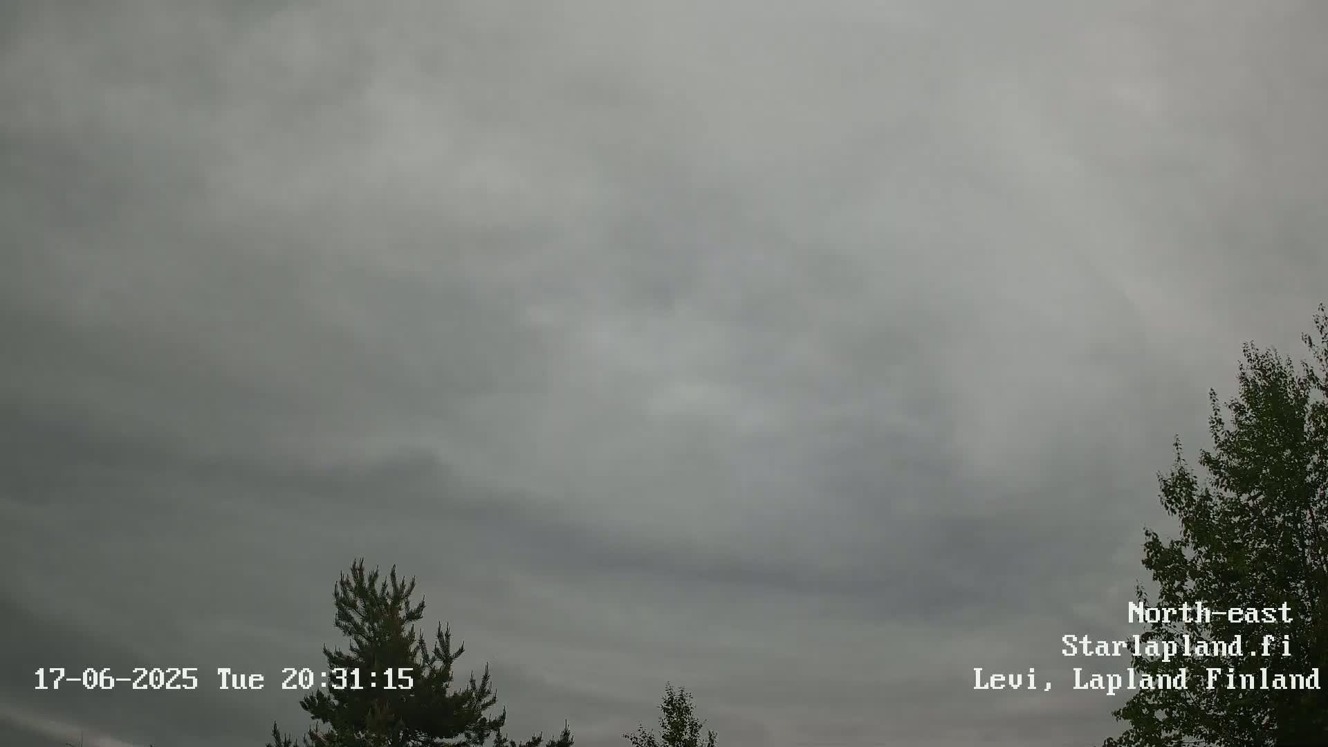 An overcast sky with dark gray clouds hangs over a landscape featuring a few coniferous and deciduous trees.
