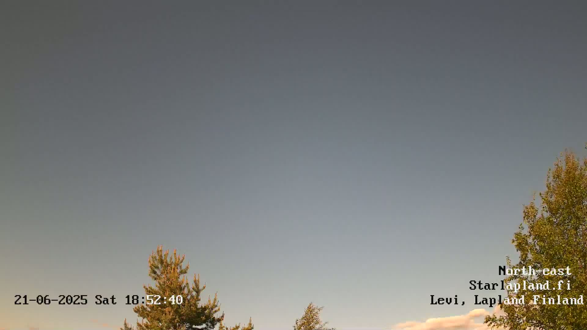 A mostly clear, light gray sky is visible above a few trees at dusk.