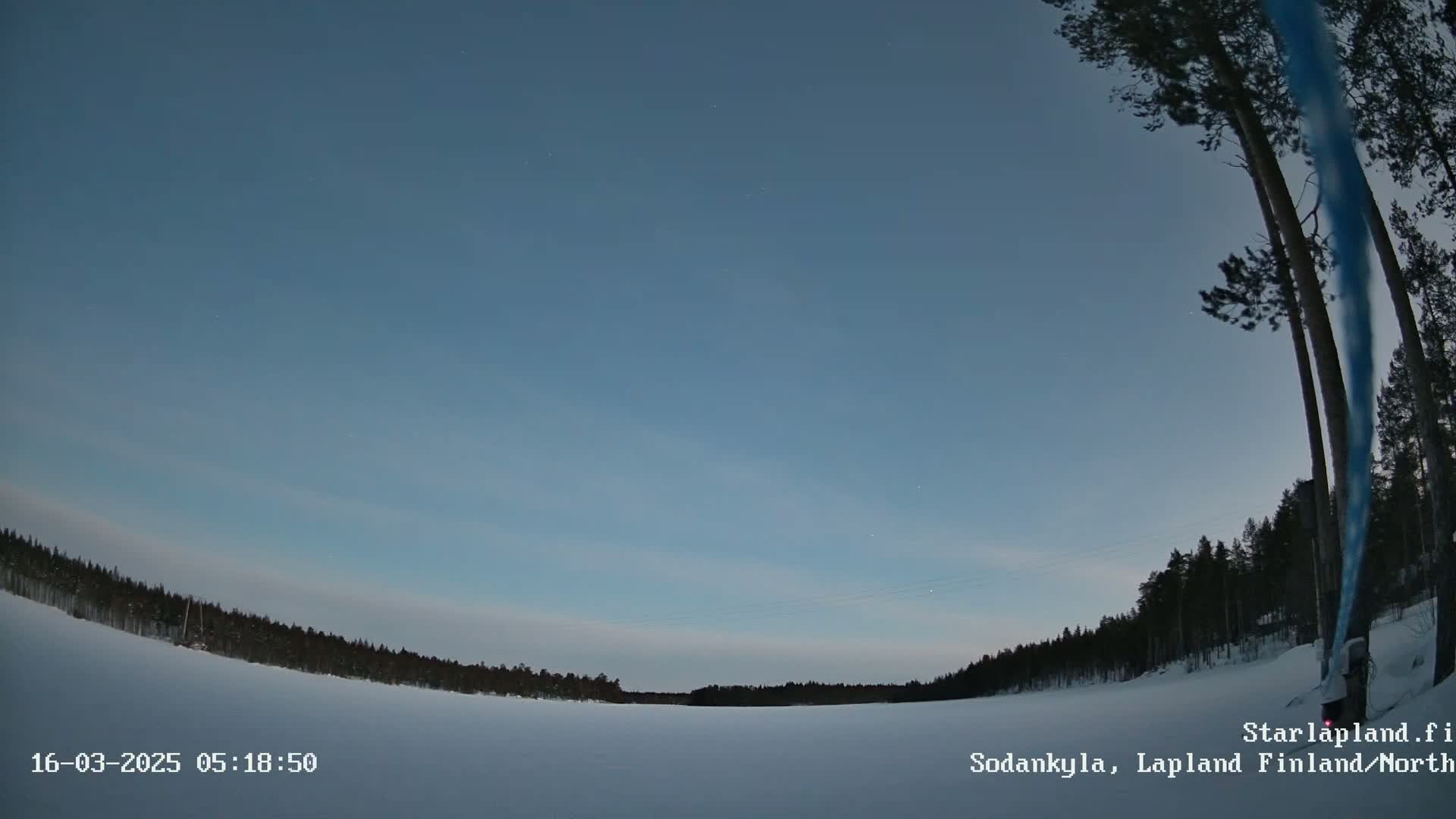 A snow-covered landscape with a line of dark trees on the horizon under a twilight sky.