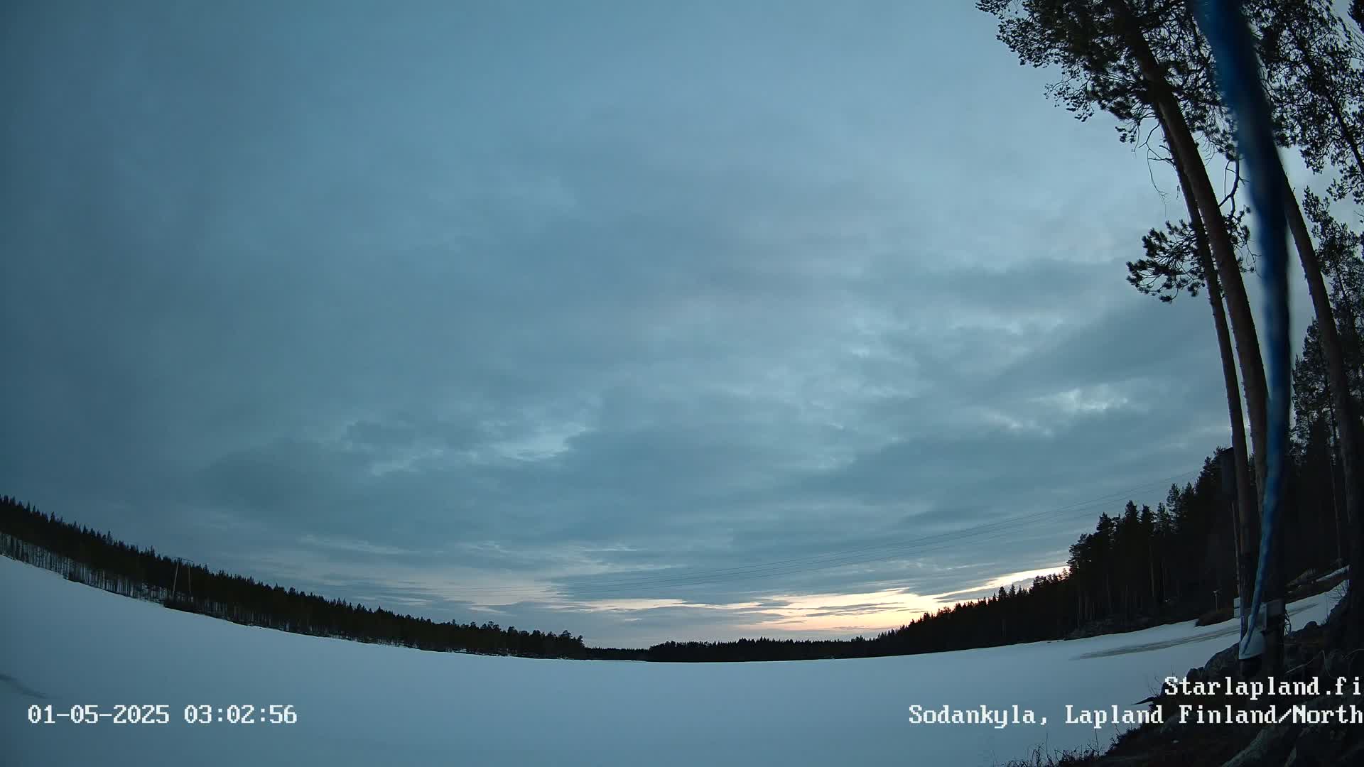 A snowy, flat landscape is visible under a mostly cloudy, dusky sky with a hint of sunset, bordered by a dark line of trees.