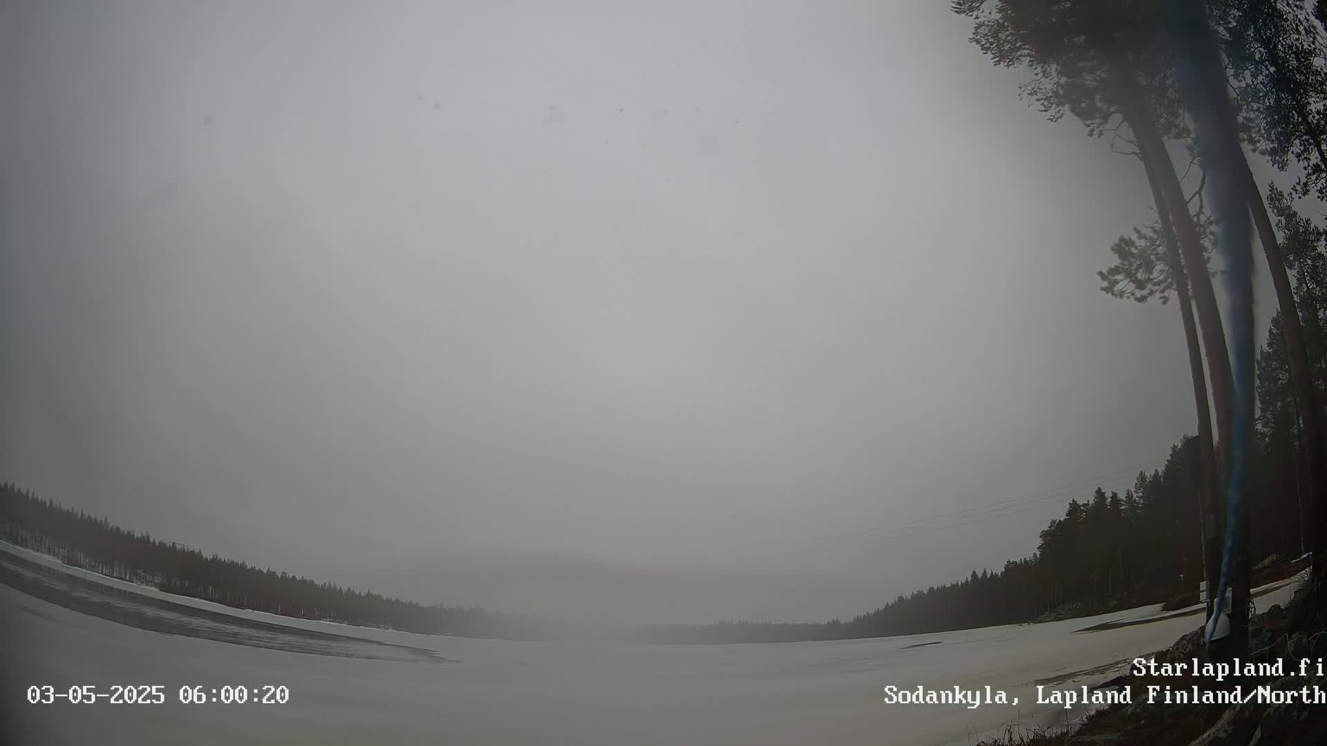 A snow-covered, flat landscape stretches out under a hazy, overcast sky, with dark trees lining the horizon.