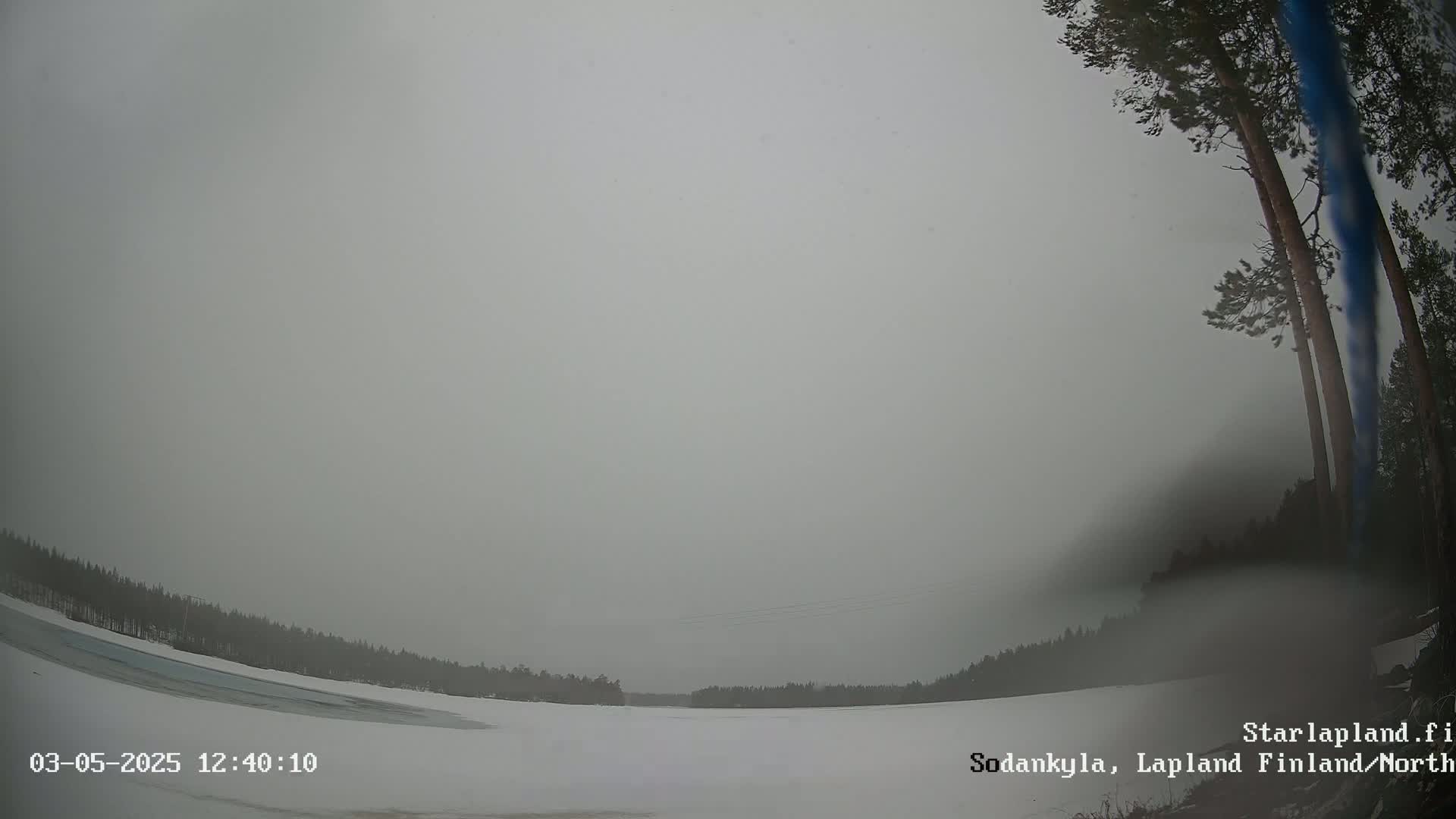 A snow-covered landscape stretches out under a hazy, overcast sky, with a few dark evergreen trees visible at the edges.