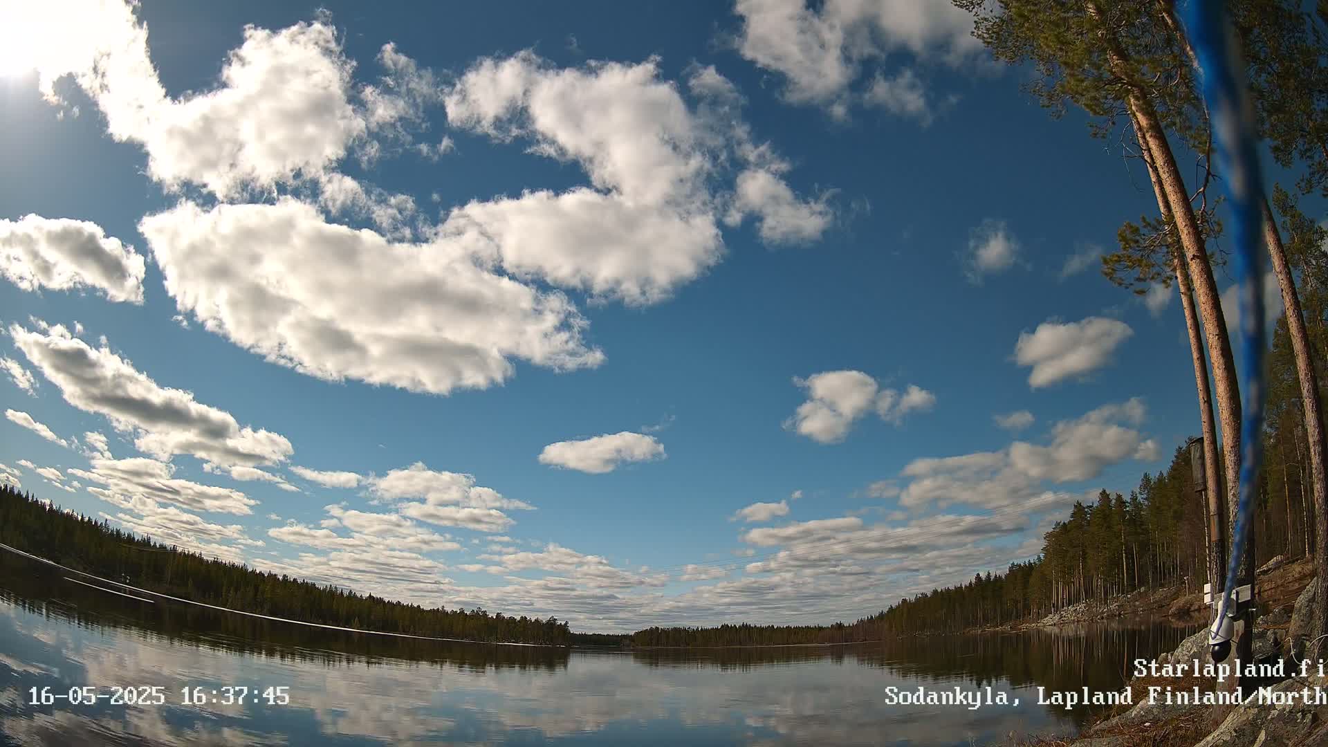 A calm lake reflects a mostly sunny sky filled with fluffy cumulus clouds, bordered by a dark green coniferous forest.