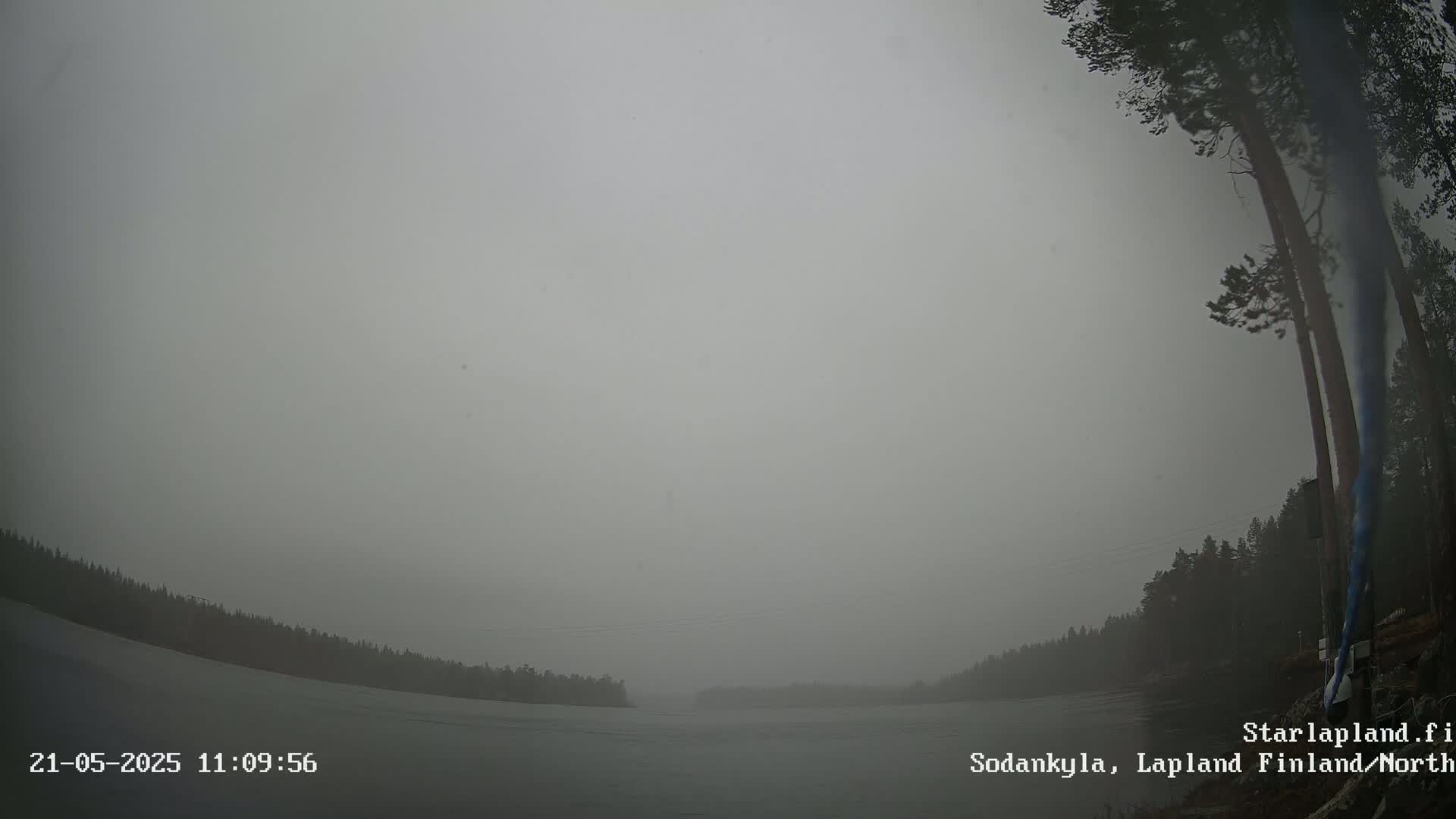 A hazy, overcast day reveals a flat, gray expanse of water bordered by dark trees under a uniformly gray sky.