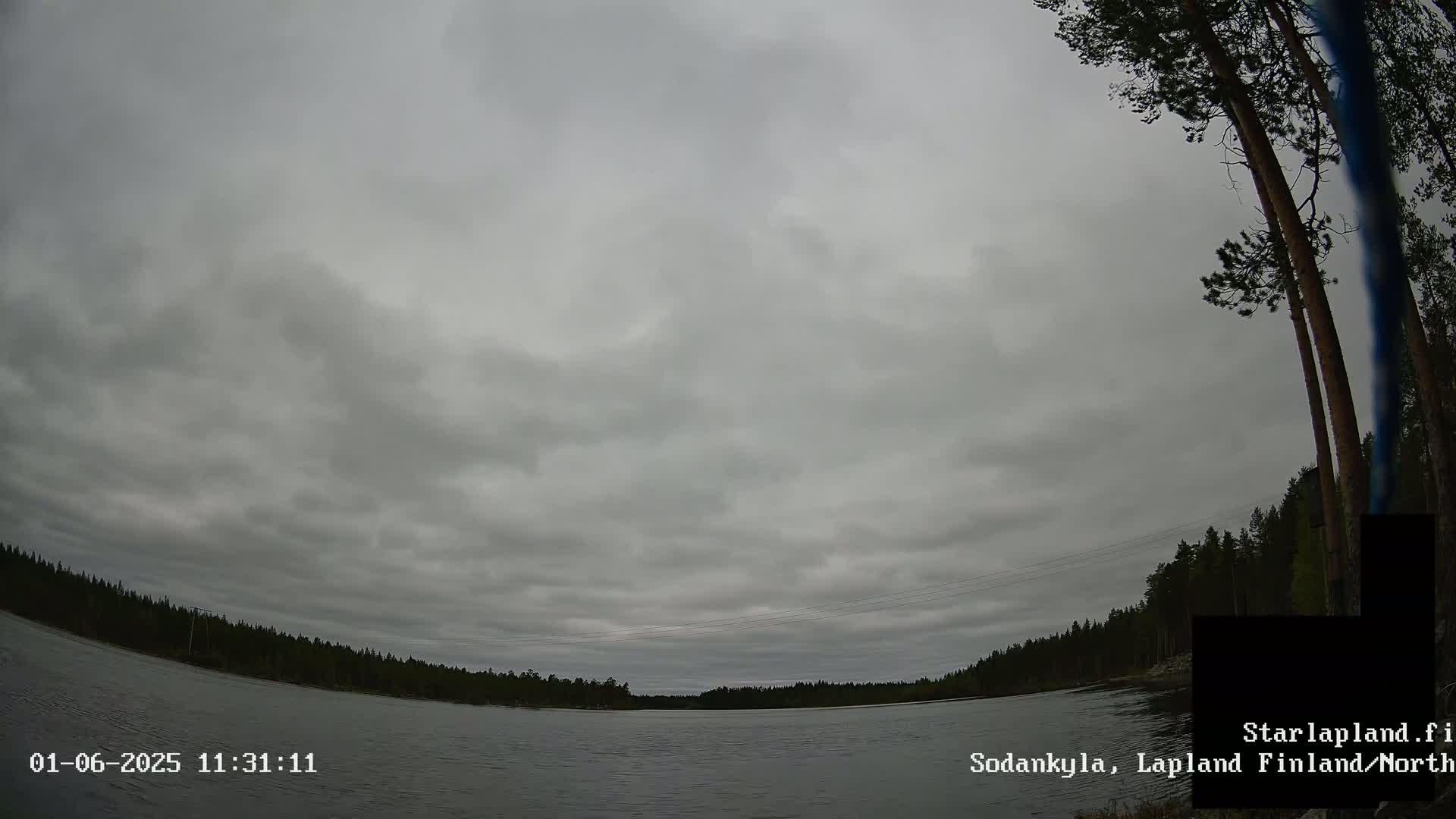 A calm lake is surrounded by a dark coniferous forest under a heavily overcast sky.