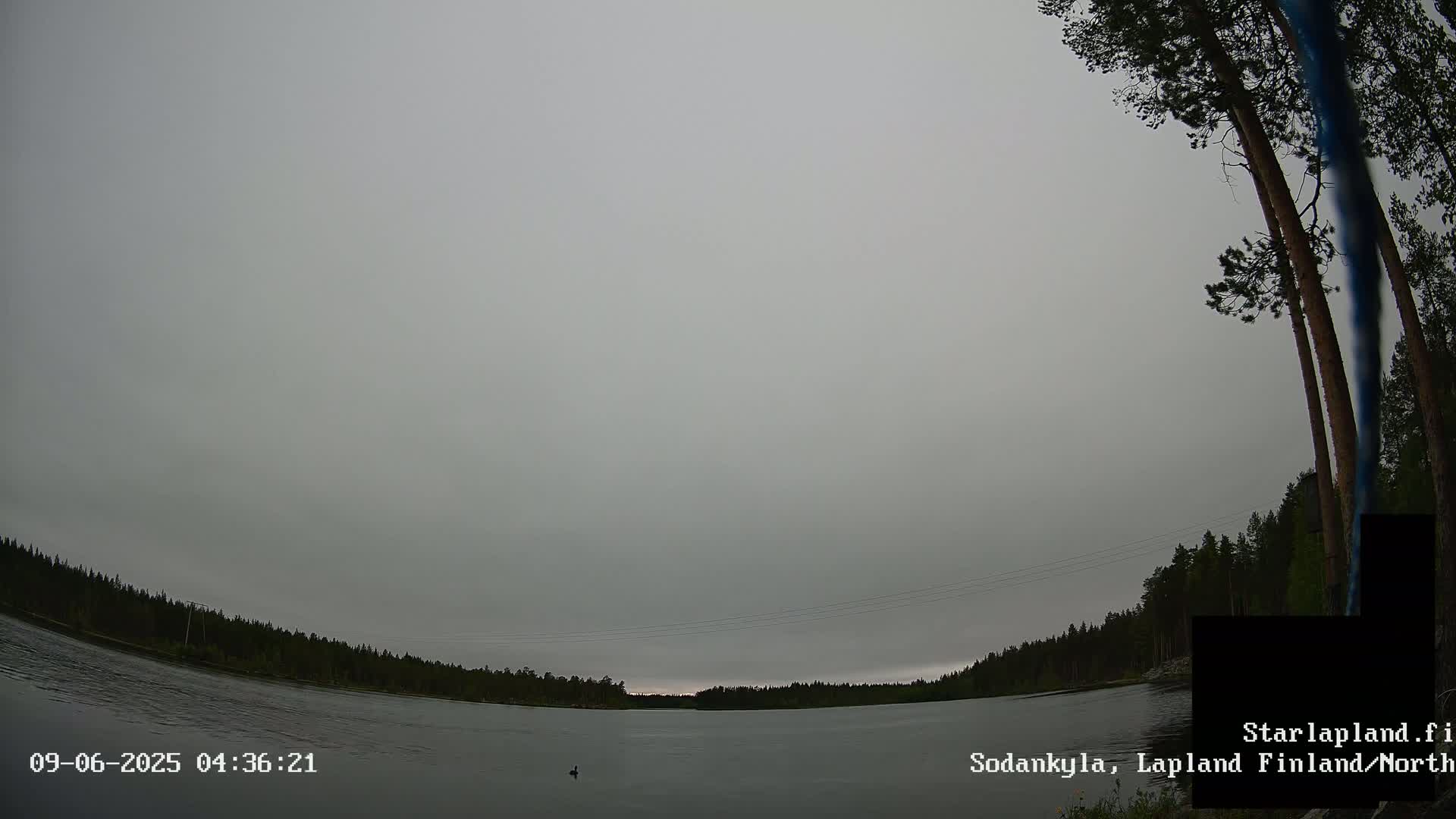Sodankyla, Aurora Boreails/Northern Lights  Live Cam -  Sodankylä, Northern Lapland (Pohjois-Lappi), Lapland (Lappi),Finland