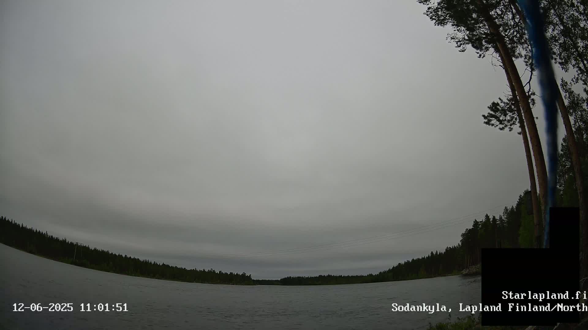 A calm body of water is seen under an overcast sky, bordered by a dark line of trees.