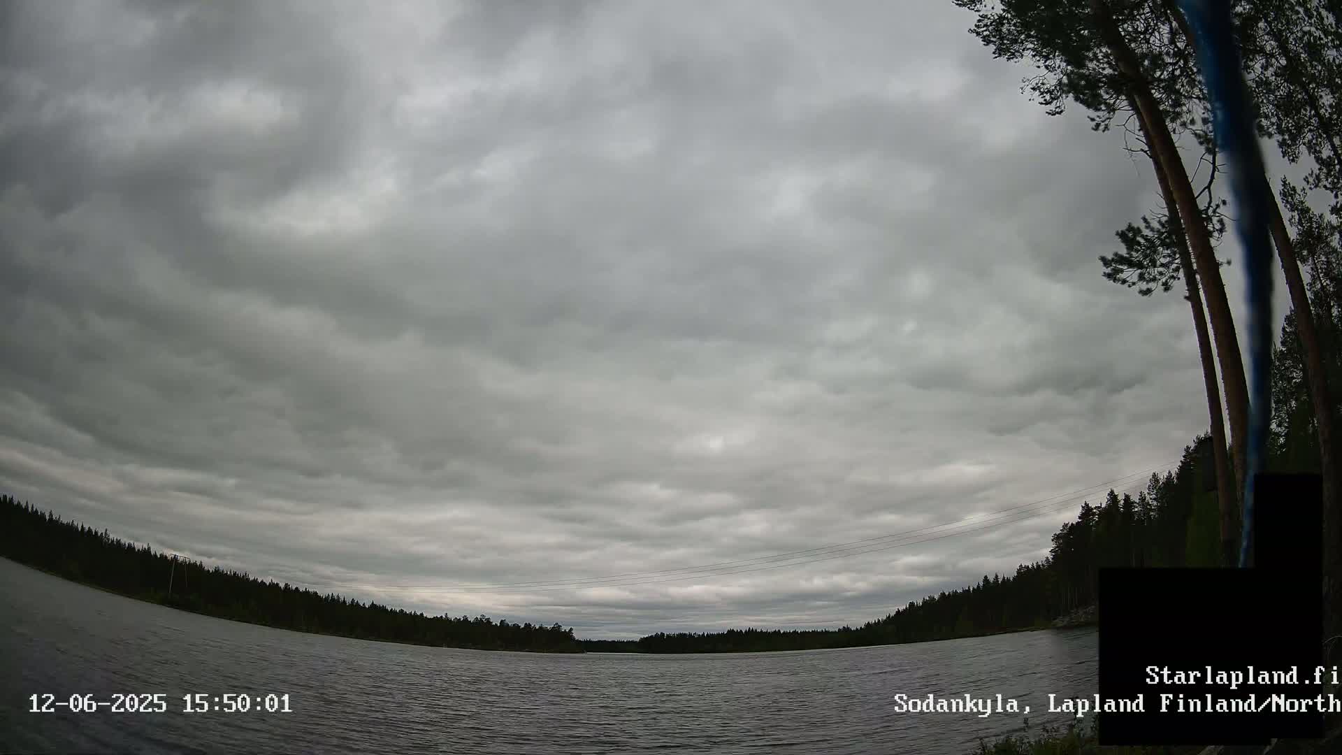 A calm lake is surrounded by a dark forest under an overcast sky.