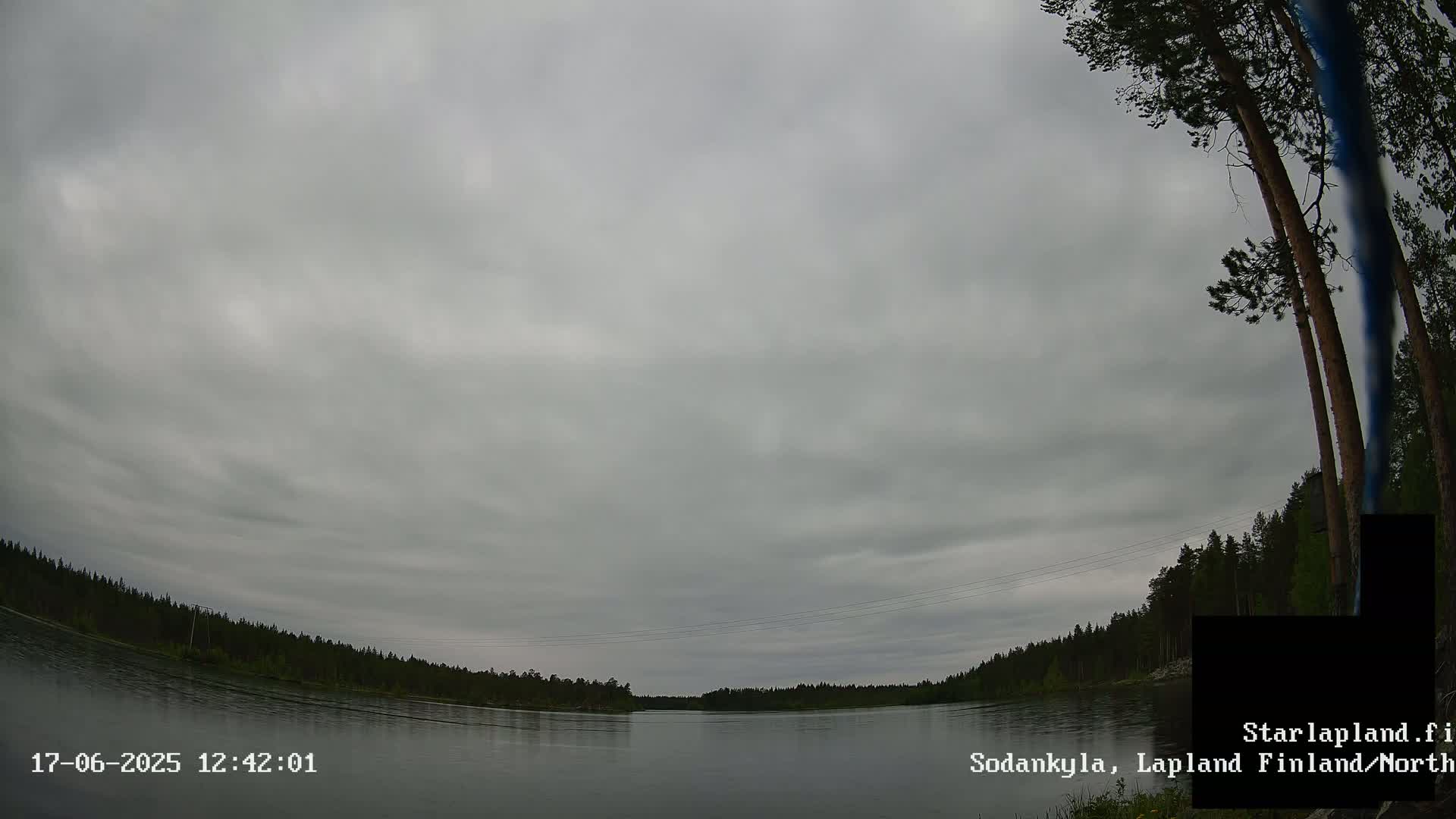 A calm body of water is surrounded by a dark green forest under a cloudy, overcast sky.