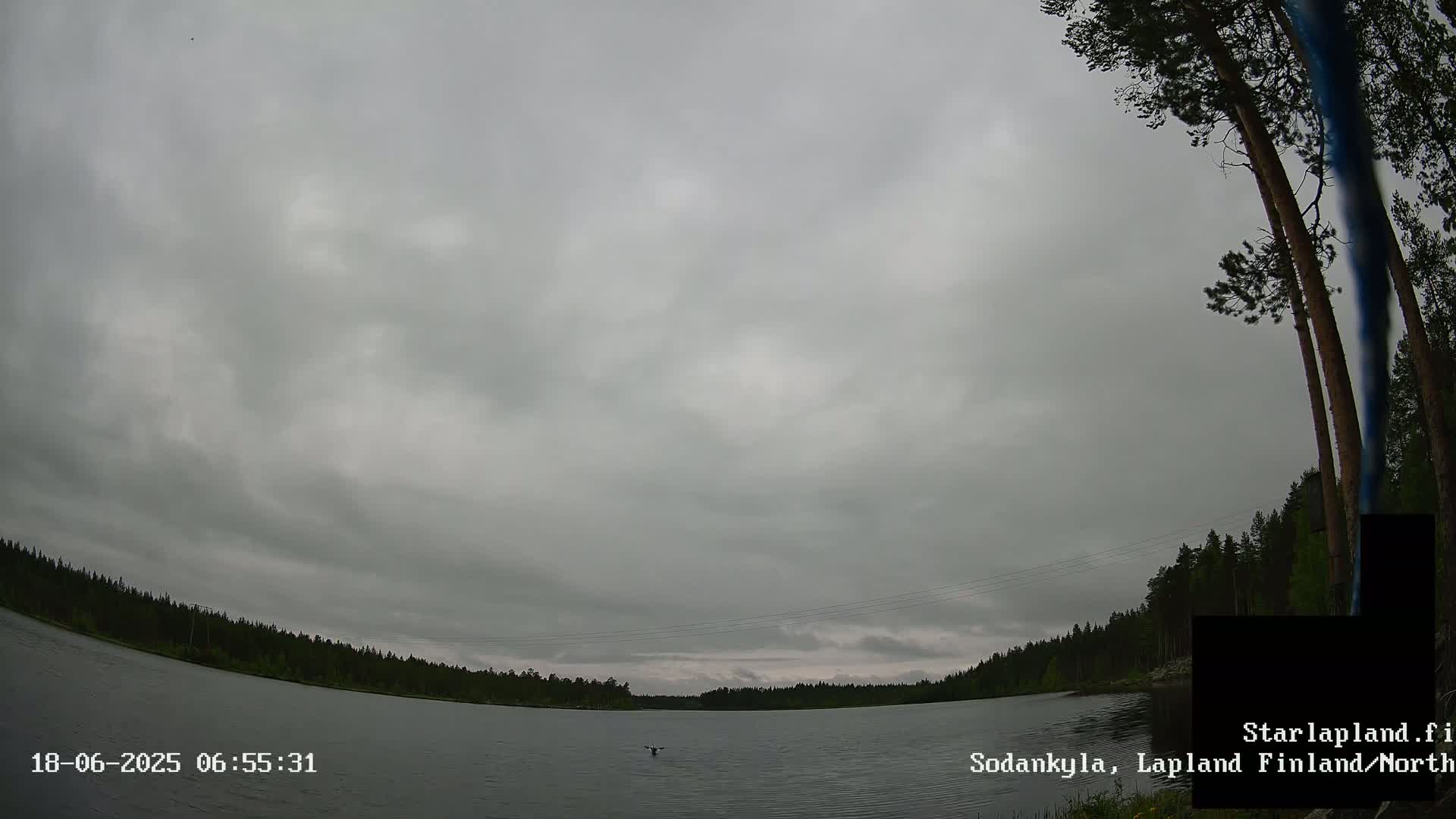 Sodankyla, Aurora Boreails/Northern Lights  Live Cam -  Sodankylä, Northern Lapland (Pohjois-Lappi), Lapland (Lappi),Finland