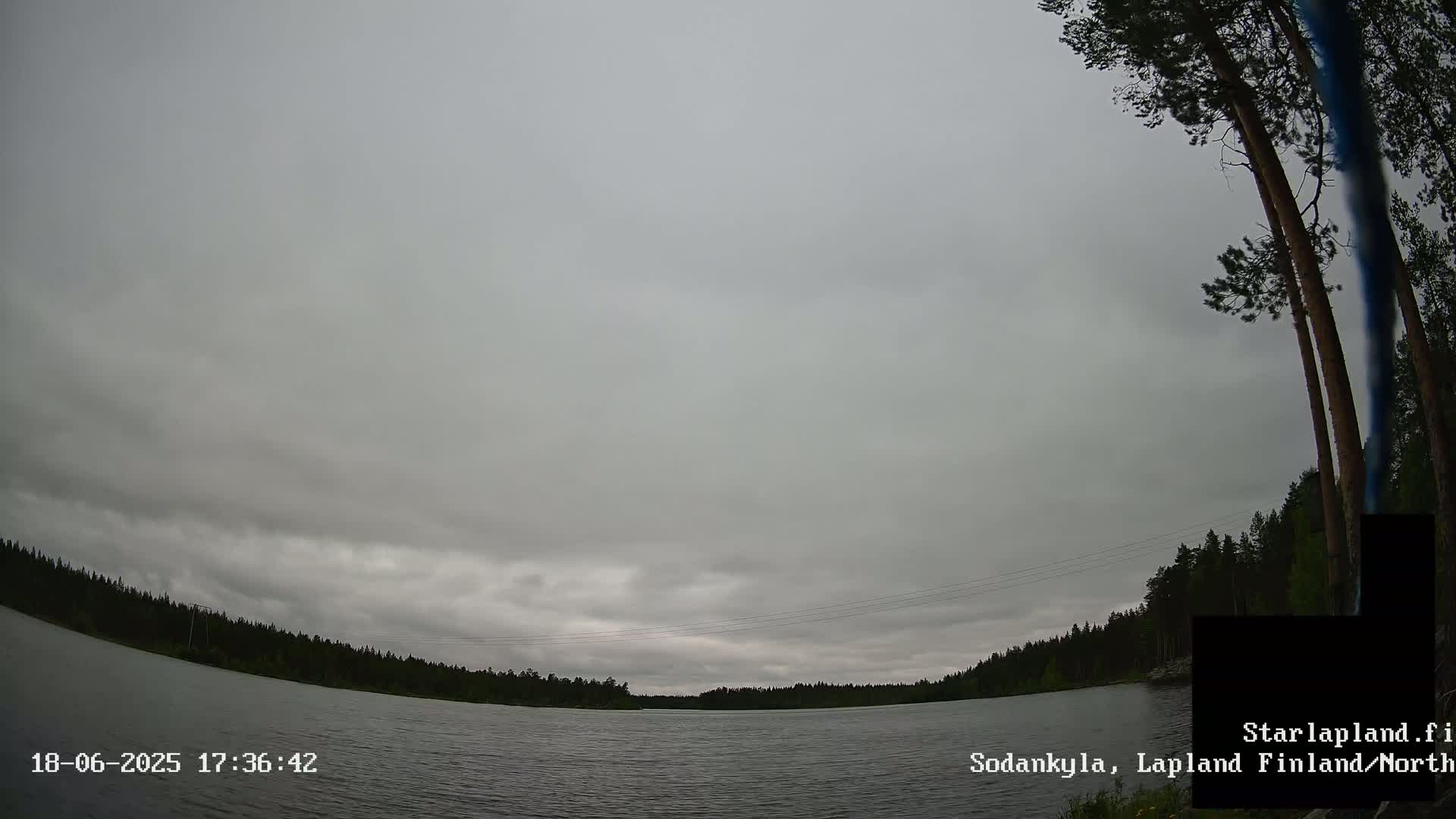 A calm lake is surrounded by a dark forest under an overcast sky.