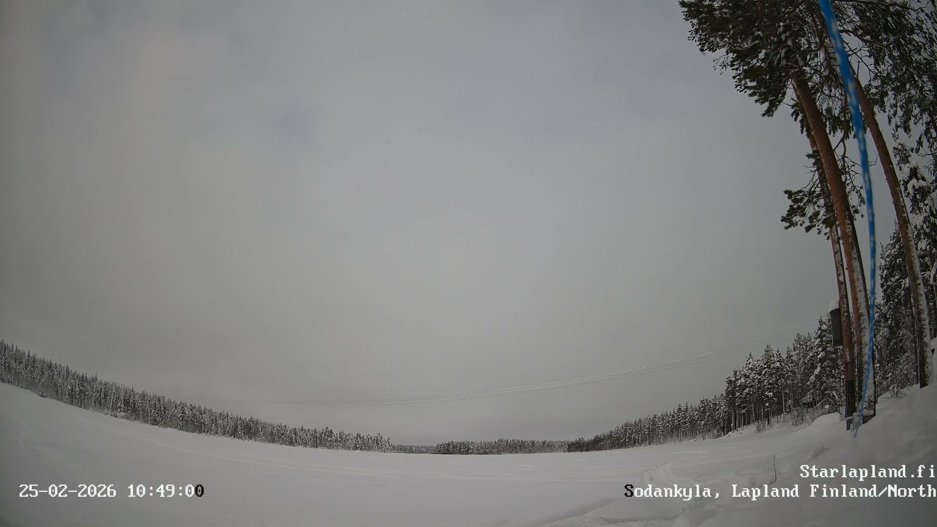 Sodankyla, Aurora Boreails/Northern Lights  Live Cam -  Sodankylä, Northern Lapland (Pohjois-Lappi), Lapland (Lappi),Finland