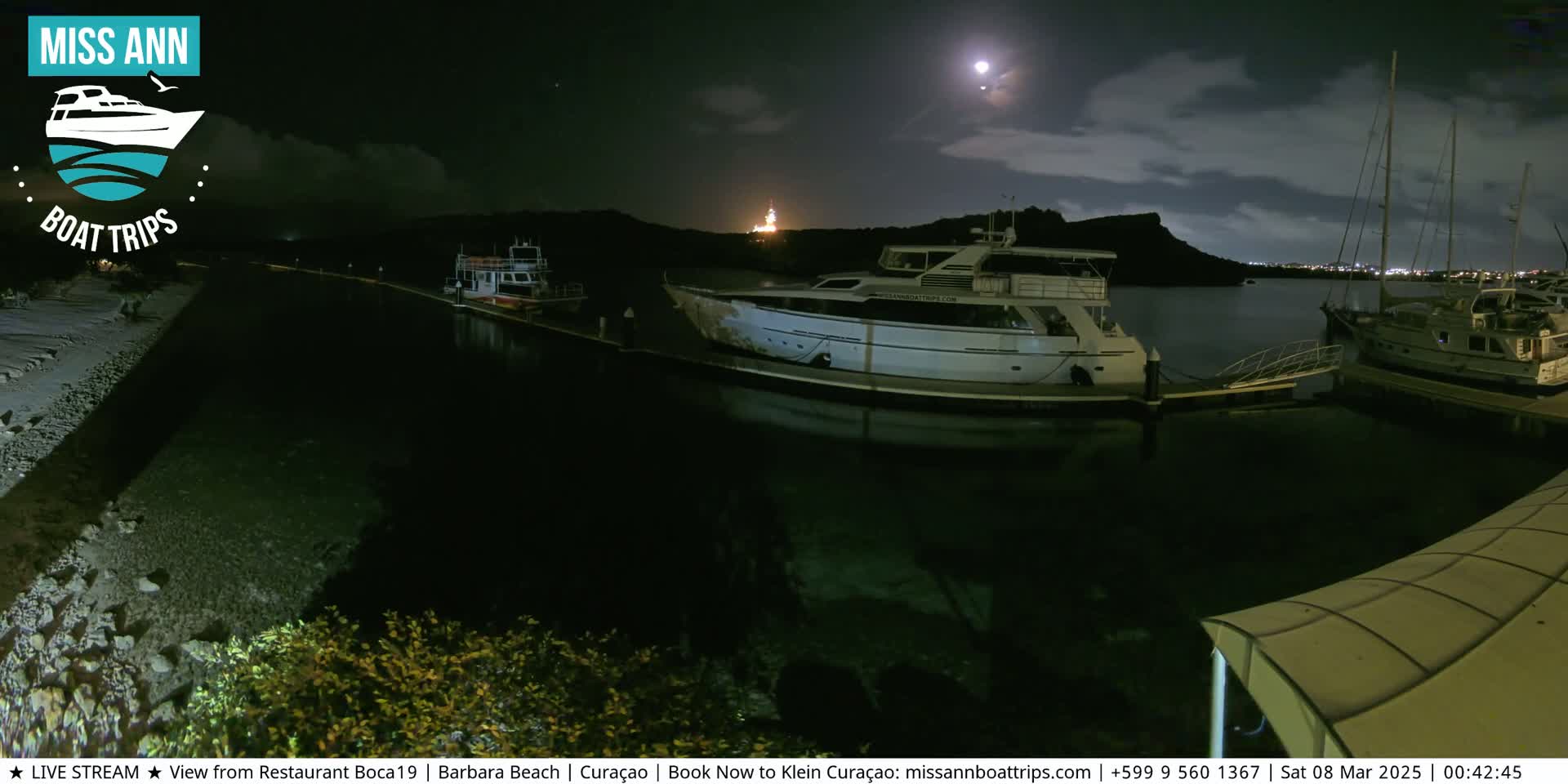 Several boats are moored at a marina at night under a mostly clear sky with a bright moon.