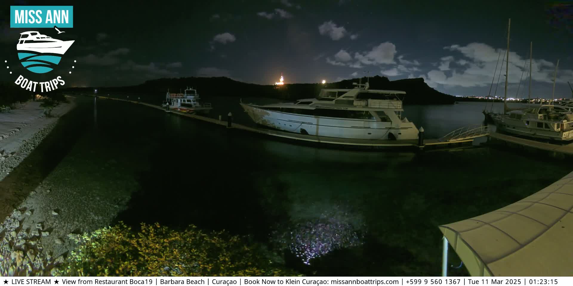 Several boats are docked at a marina at night under a partly cloudy sky.