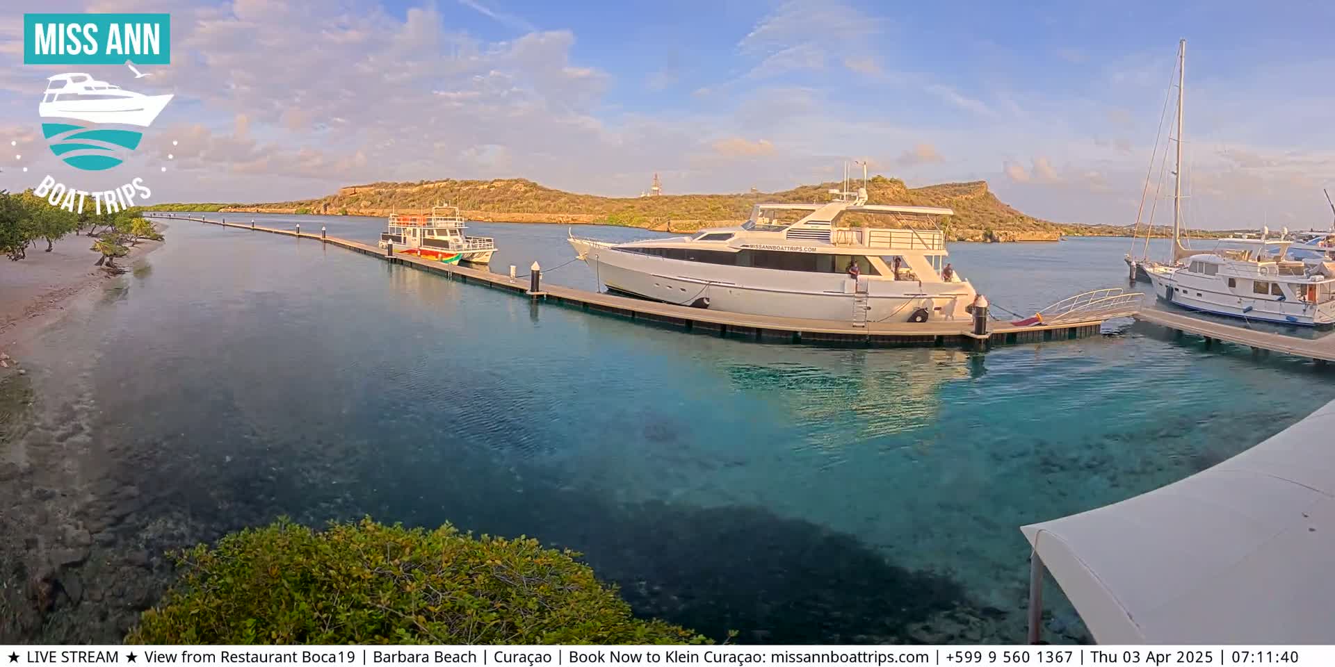 Several boats are docked at a marina on a sunny day with clear, calm water.