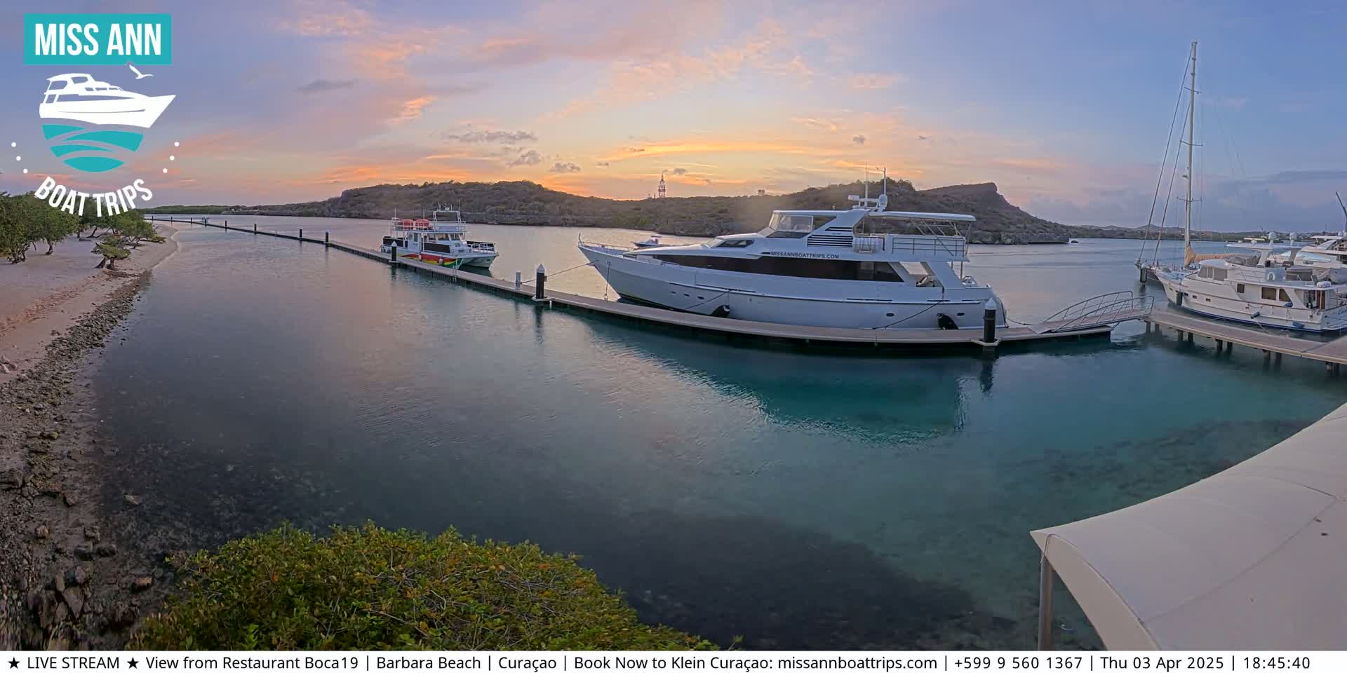 Several boats are docked at a marina during a calm sunset.