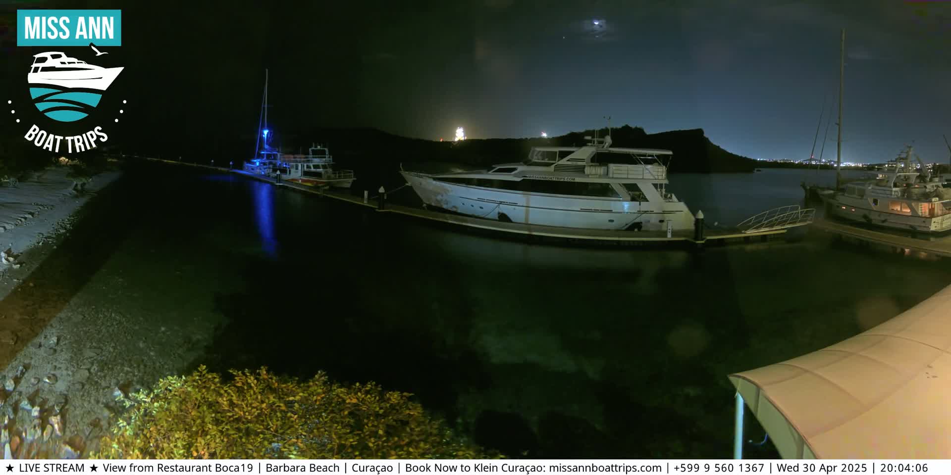 Several boats are moored at a marina at night under a clear, moonlit sky.