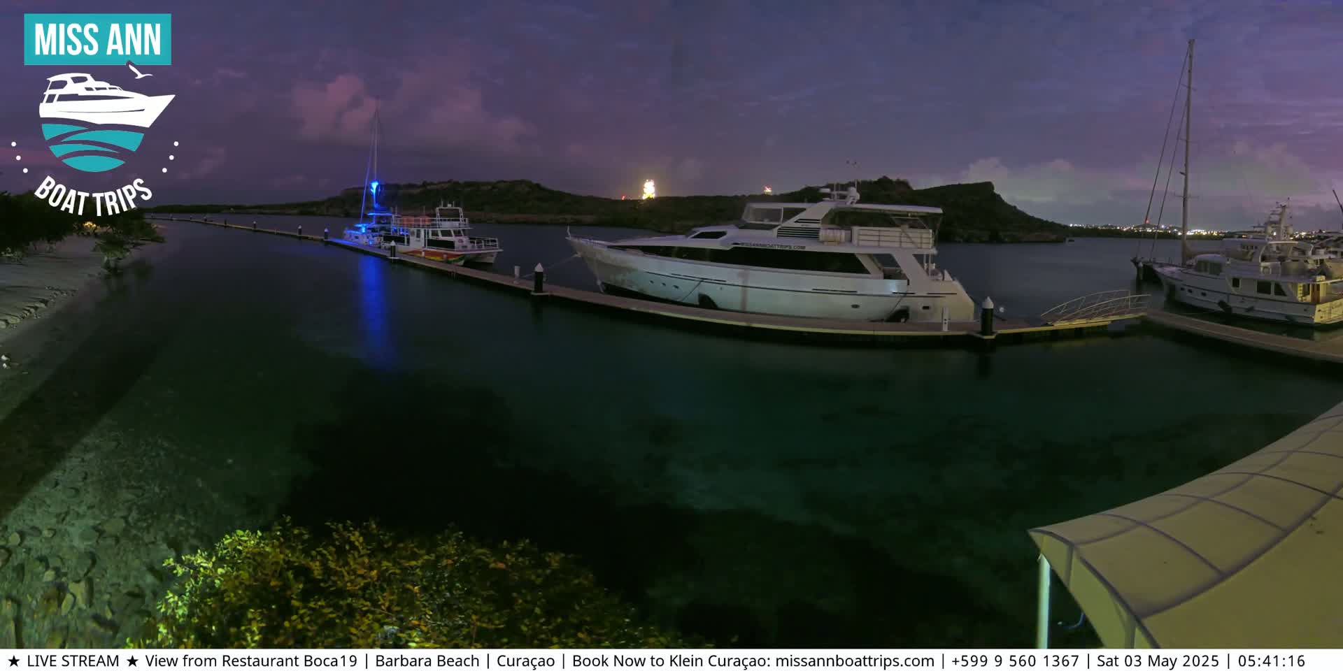 Several boats are docked at a marina at night under a dark purple sky.