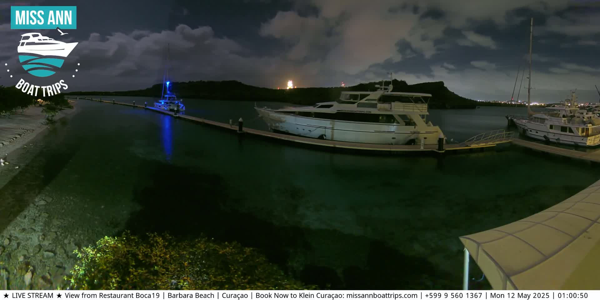 Several boats are moored at a marina at night under a partly cloudy sky.