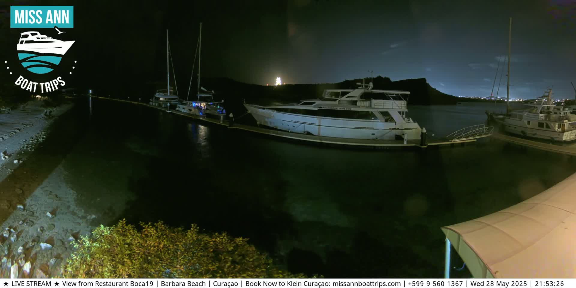 Several boats are docked at a marina at night, under a dark sky.