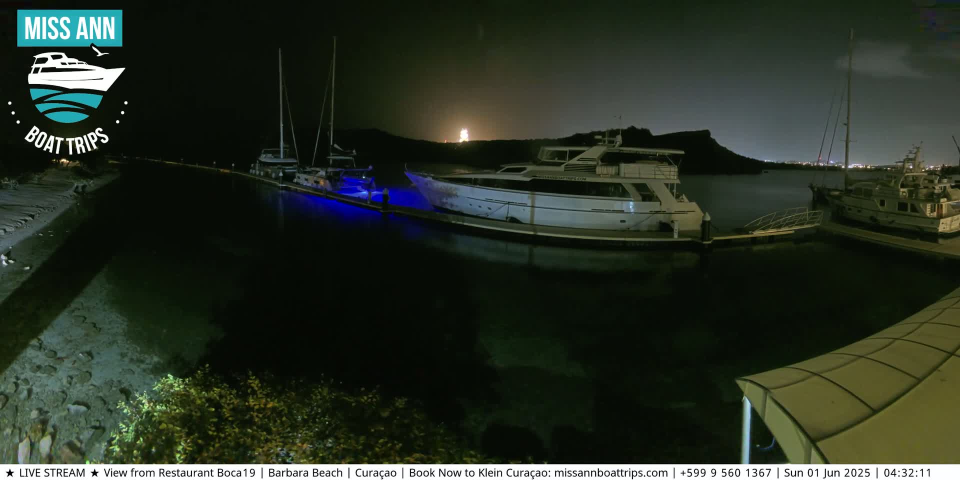 Several boats are docked at a marina at night, illuminated by blue lights, with a hill visible in the background under a dark sky.